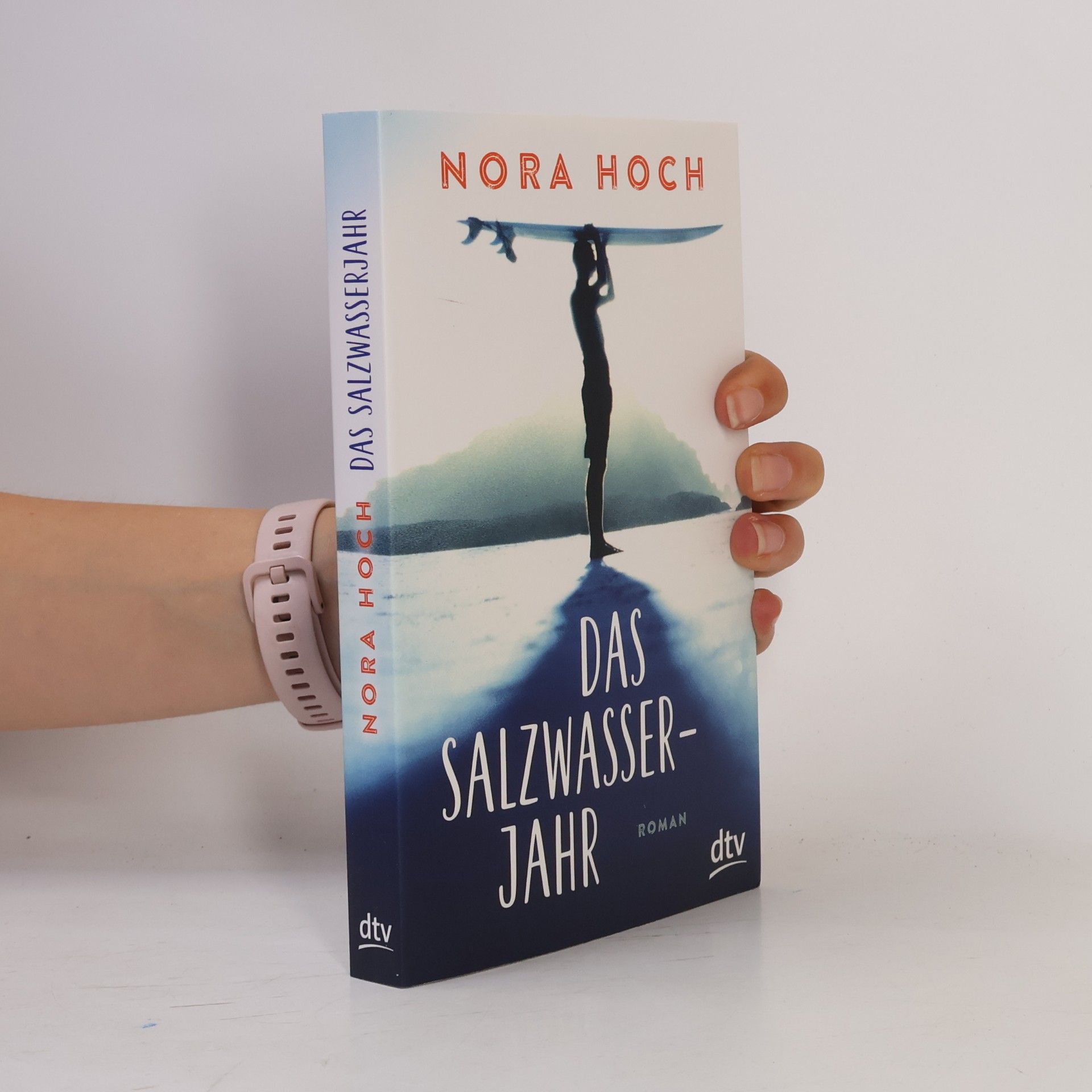 Nora Hoch Das Salzwasserjahr