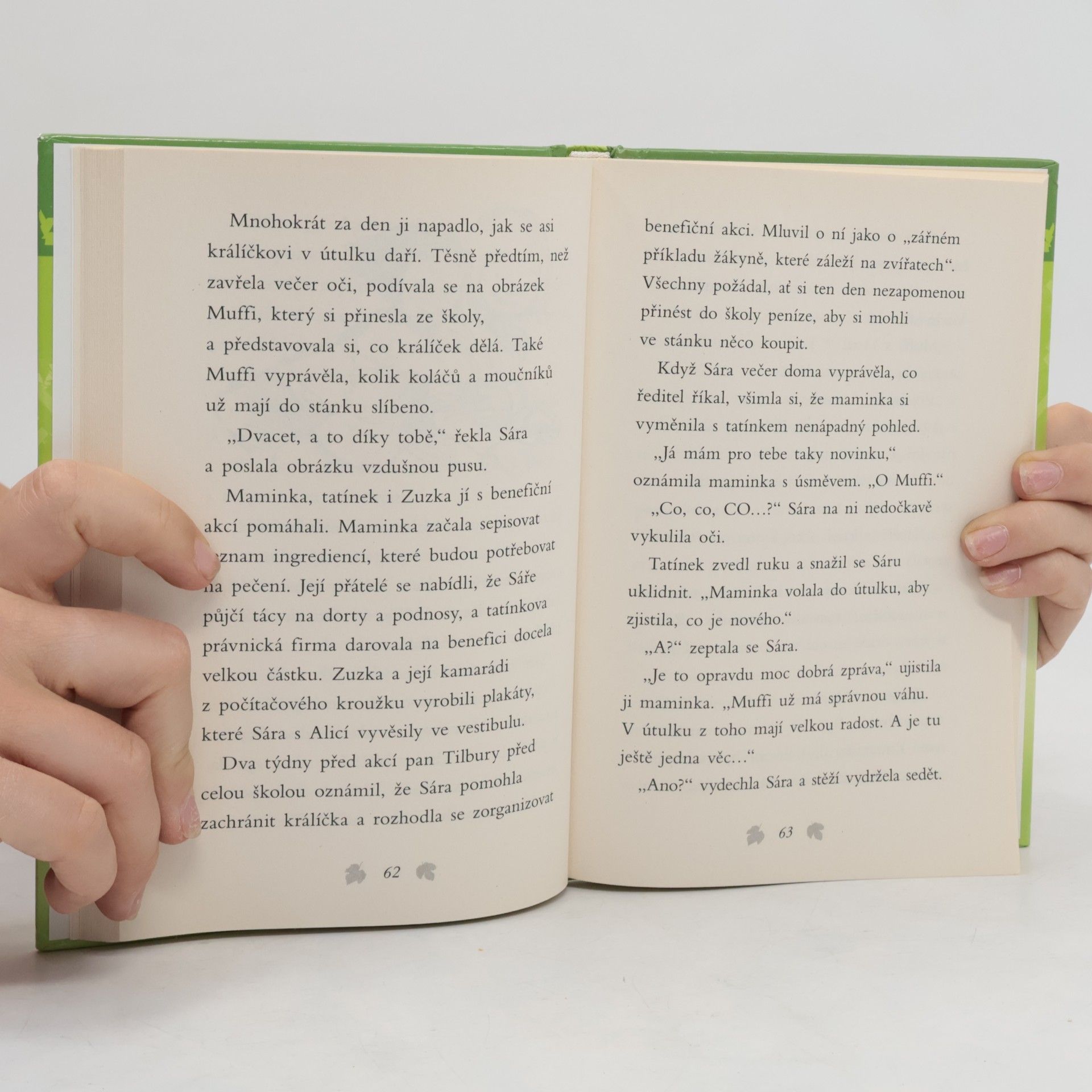 Jill Hucklesby Osamělý králíček