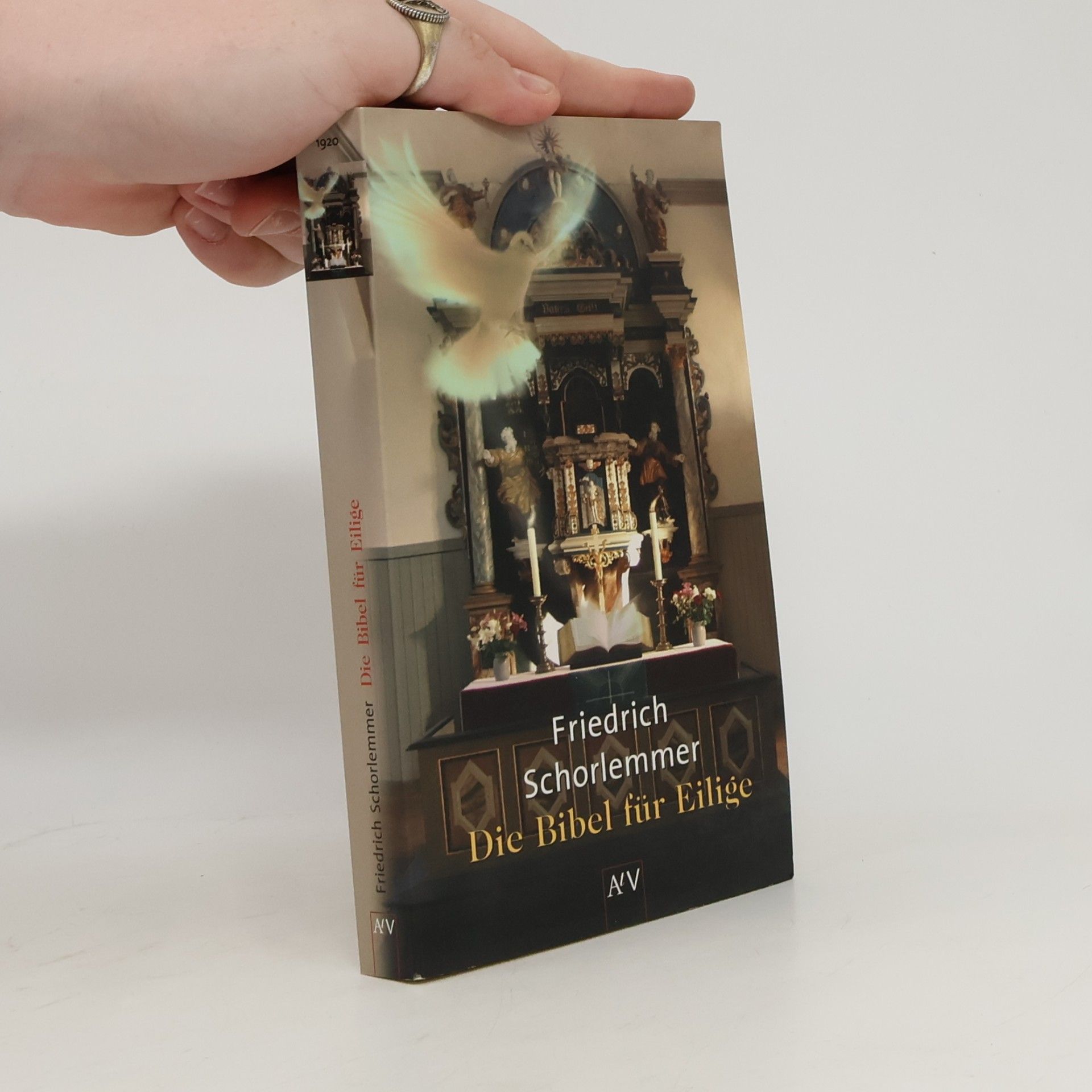 Friedrich Schorlemmer Die Bibel für Eilige