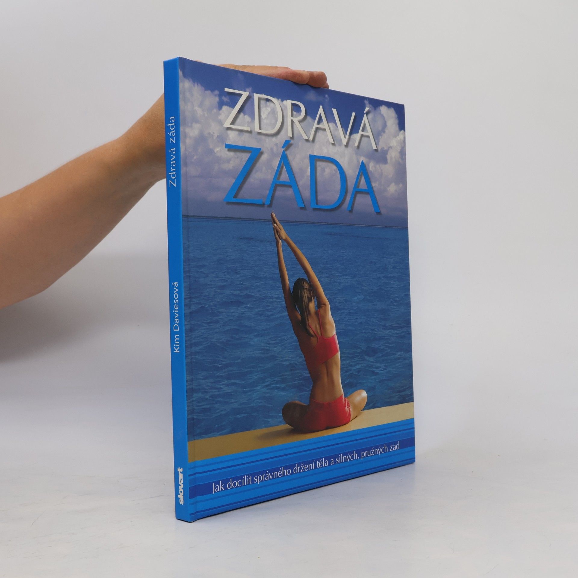 Kim Davies Zdravá záda