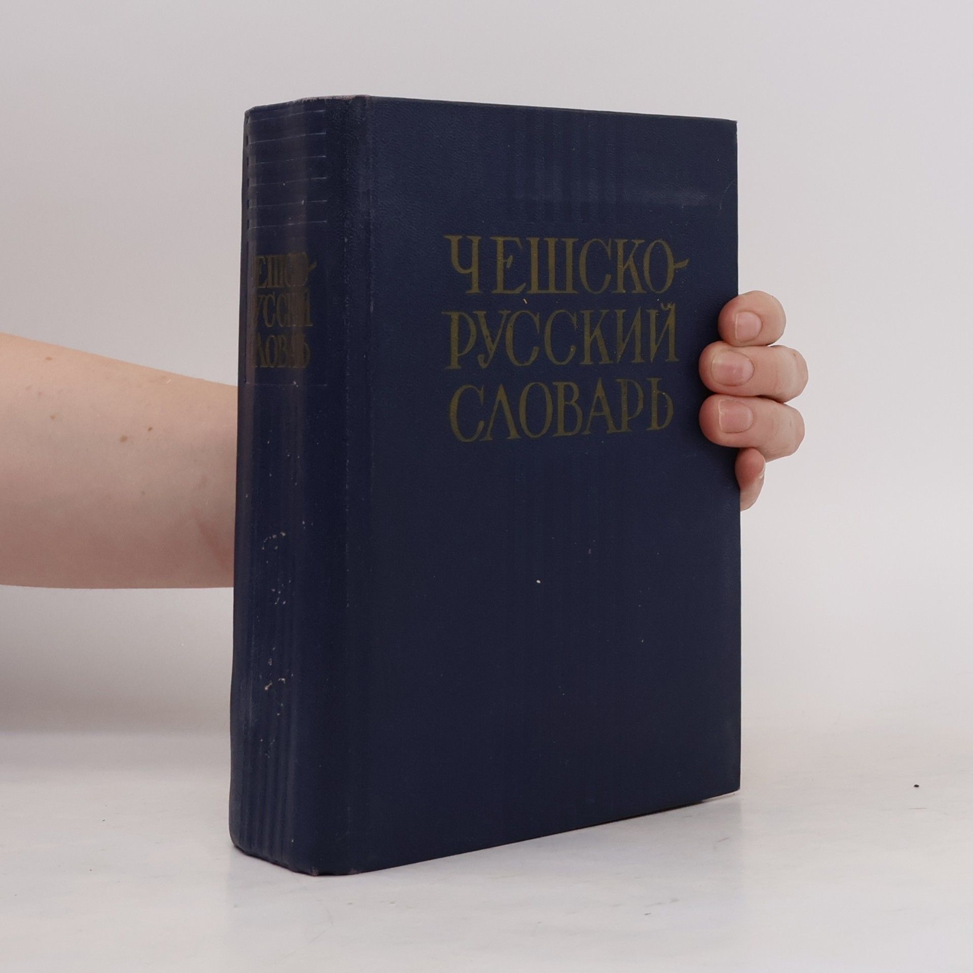 Kolektiv autorů Чешско-русский словарь