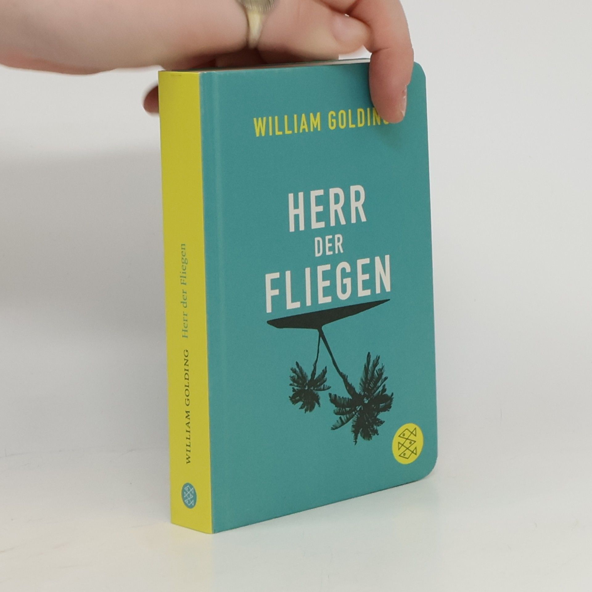 Hermann Stiehl Herr der Fliegen