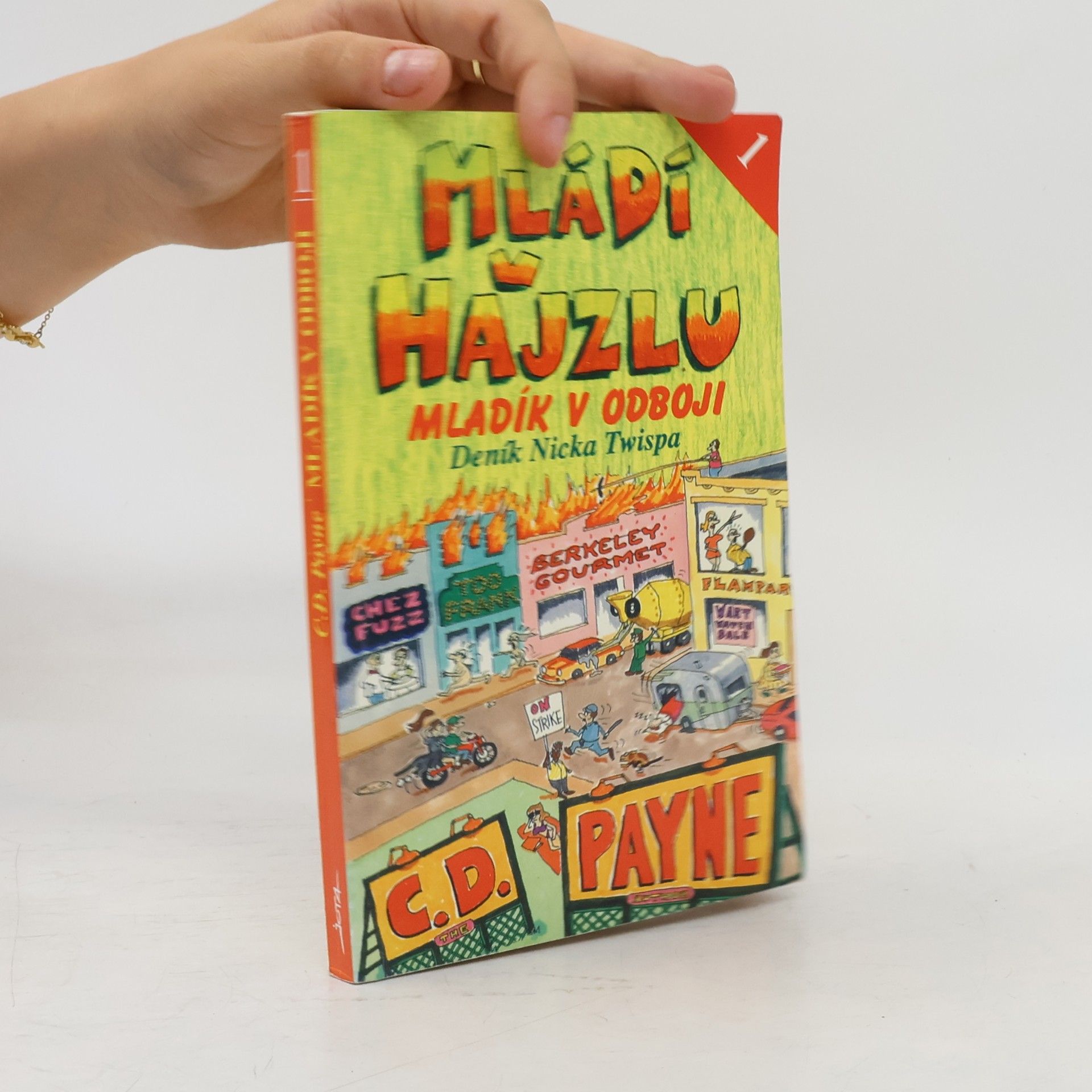 Mládí v hajzlu: Deník Nicka Twispa. Kniha 1., Mladík v odboji