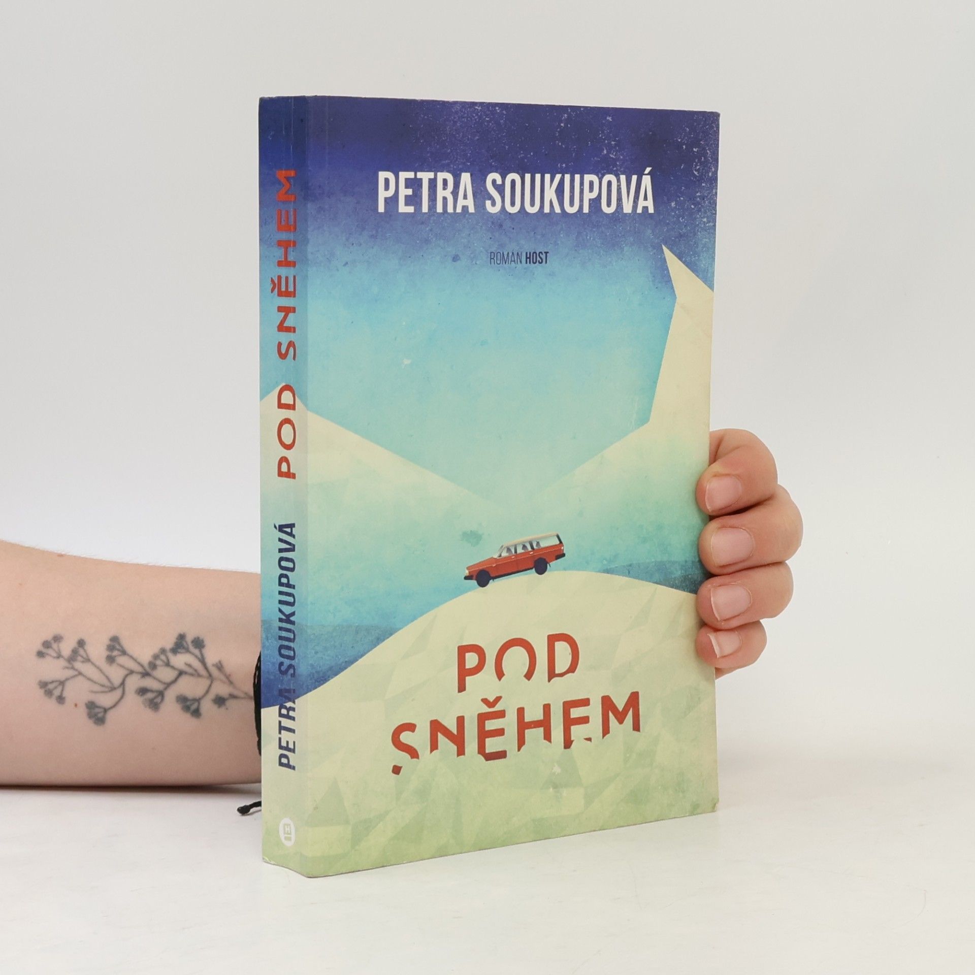 Petra Soukupova Pod sněhem