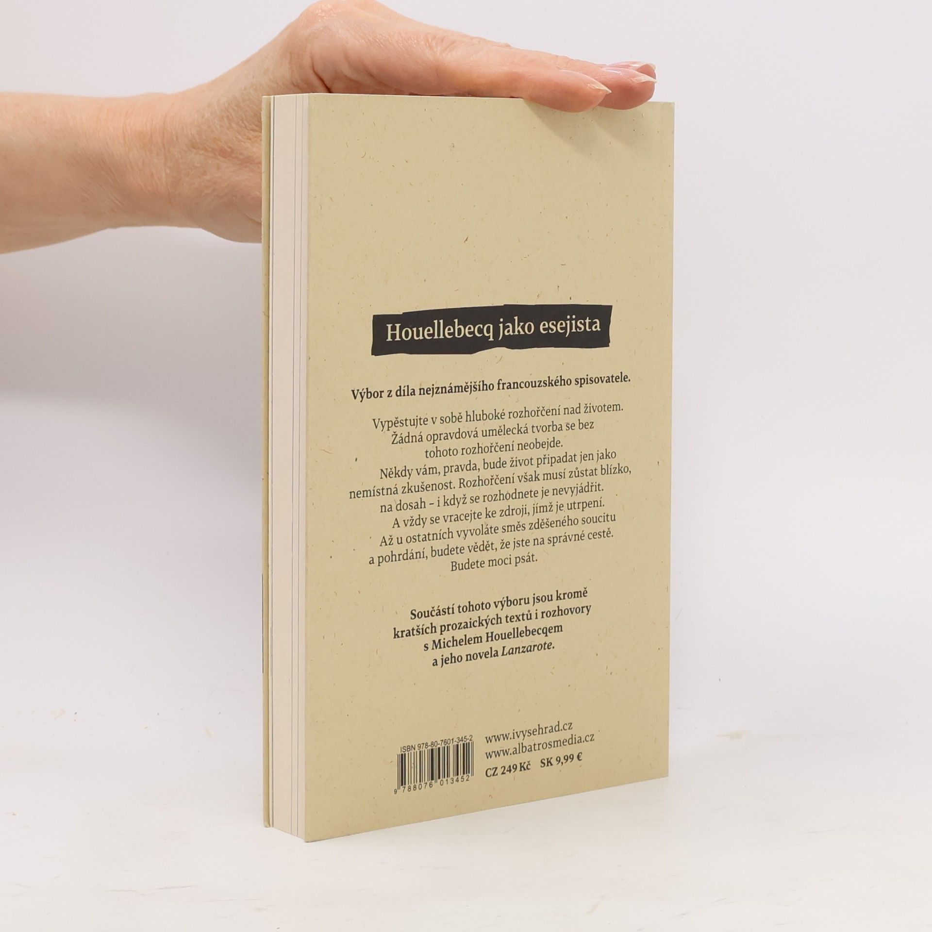 Michel Houellebecq Eseje