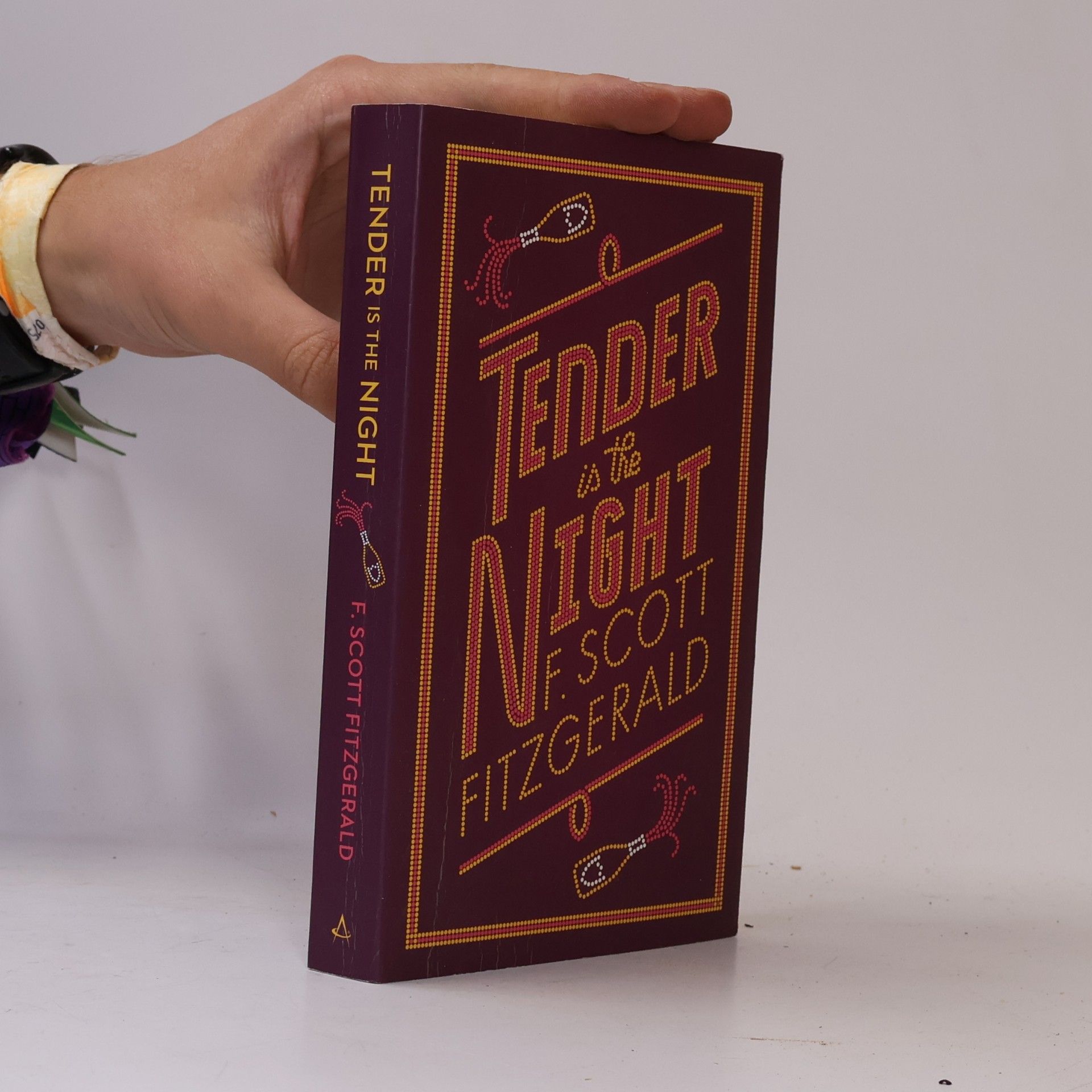 Francis Scott Fitzgerald Tender is the night
