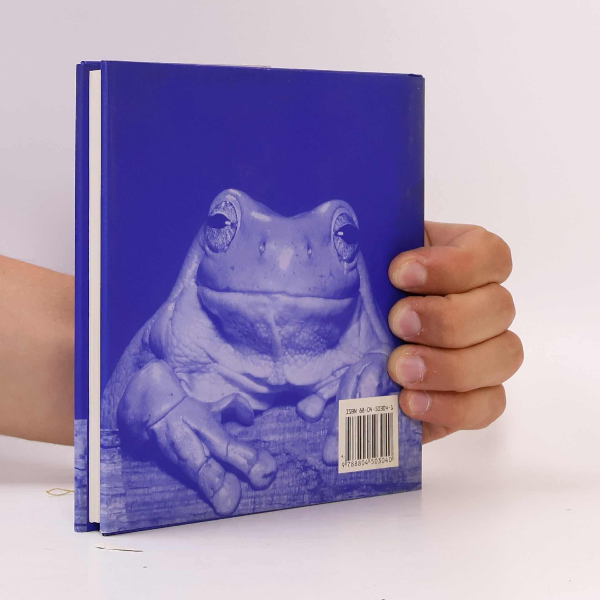 Greive Bradley Trevor Arcobaleno: Il libro blu delle coccole. Ediz. illustrata