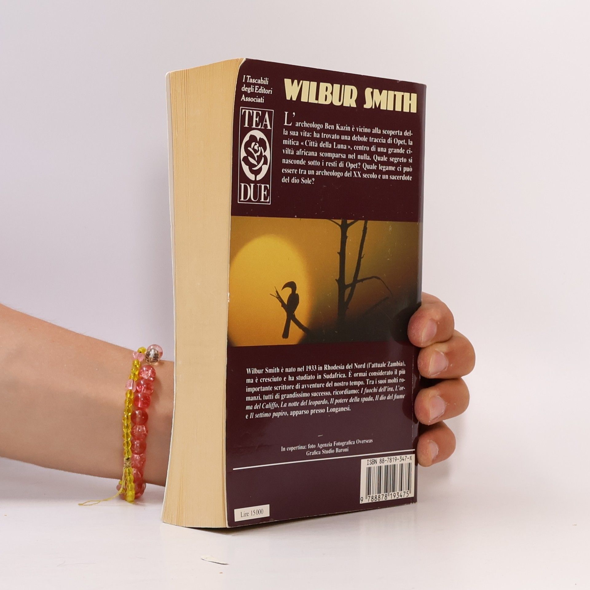 Wilbur Smith L´uccello del Sole