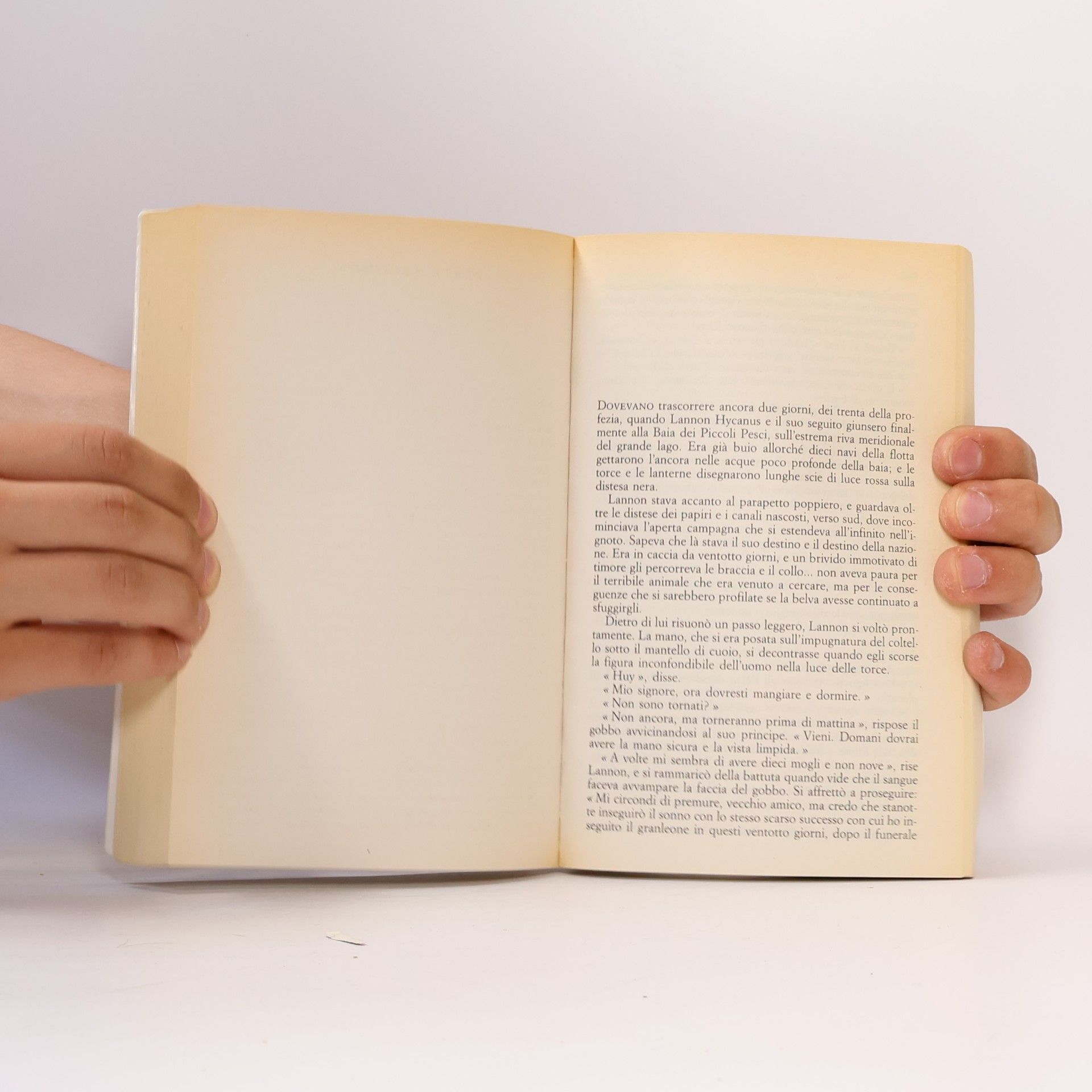 Wilbur Smith L´uccello del Sole