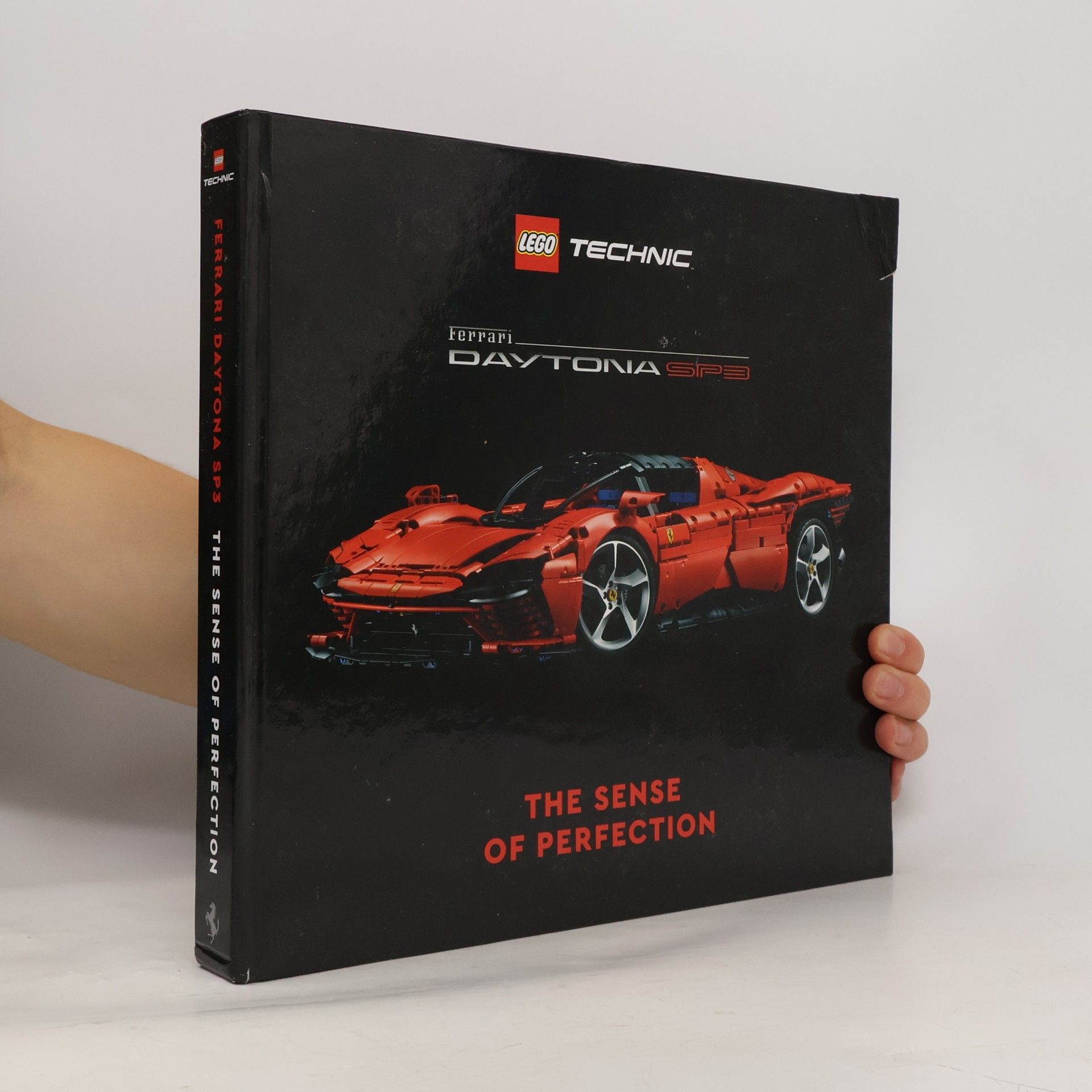 Kolektiv autorů The Sense of Perfection