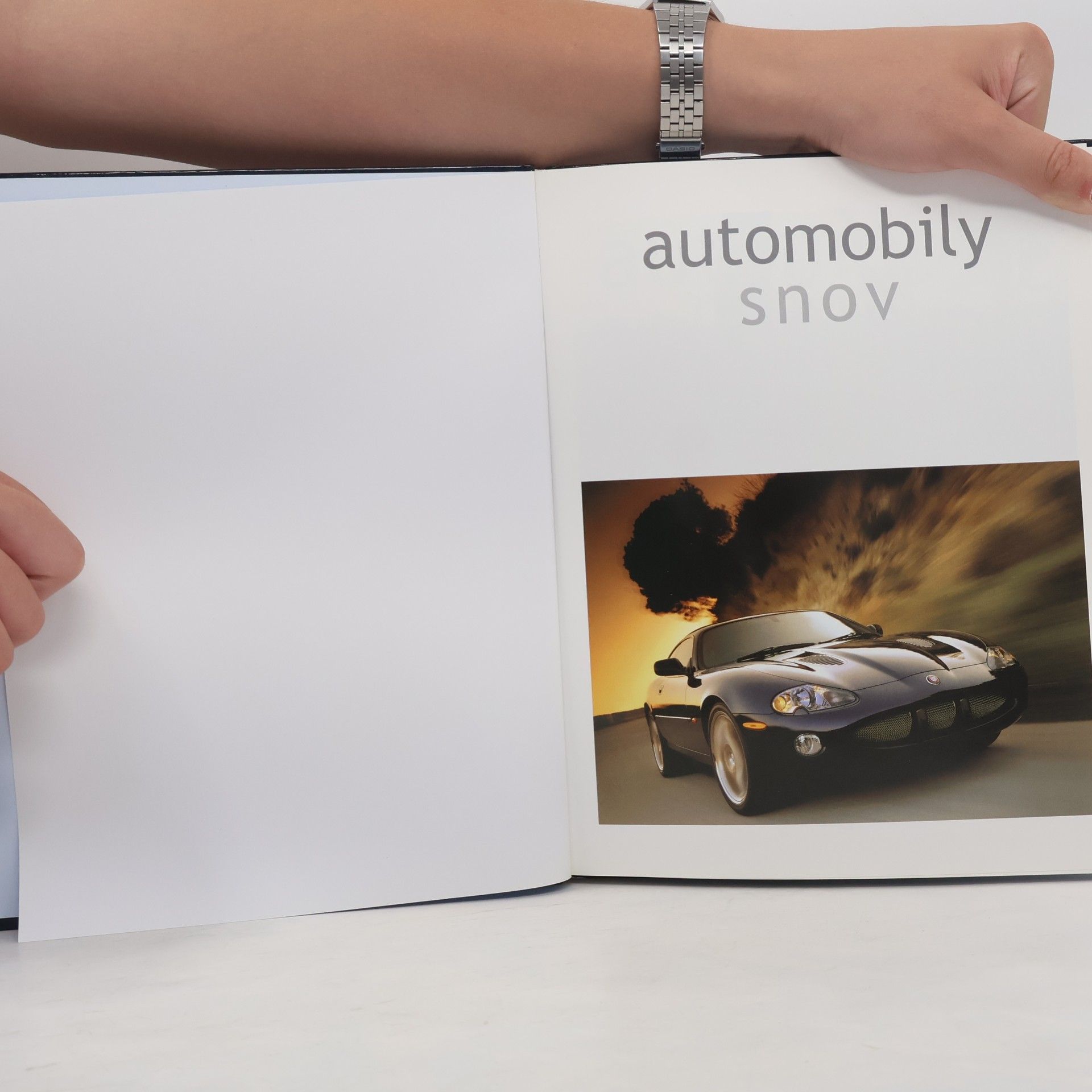 Roland Brown Automobily snov