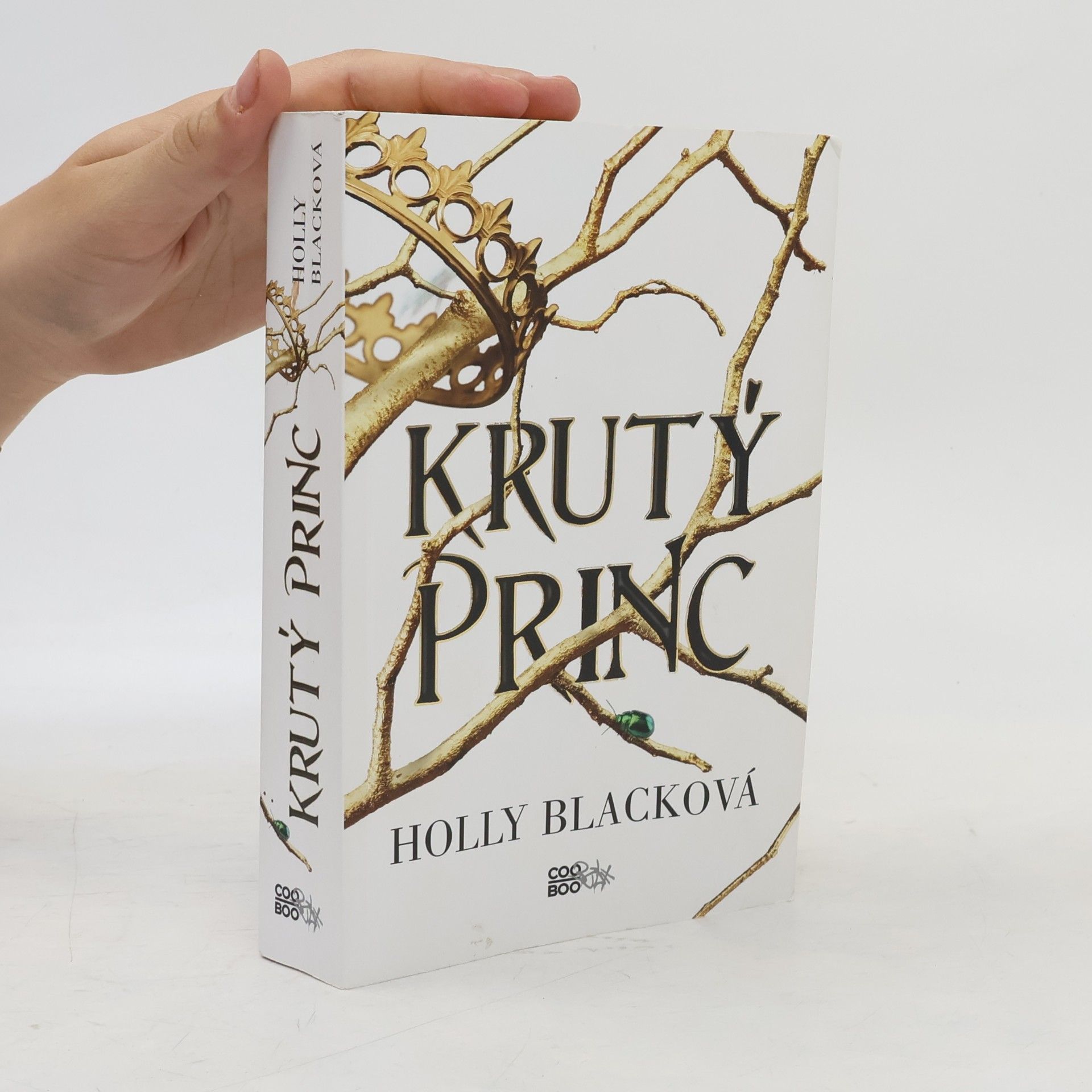 Holly Black Krutý princ