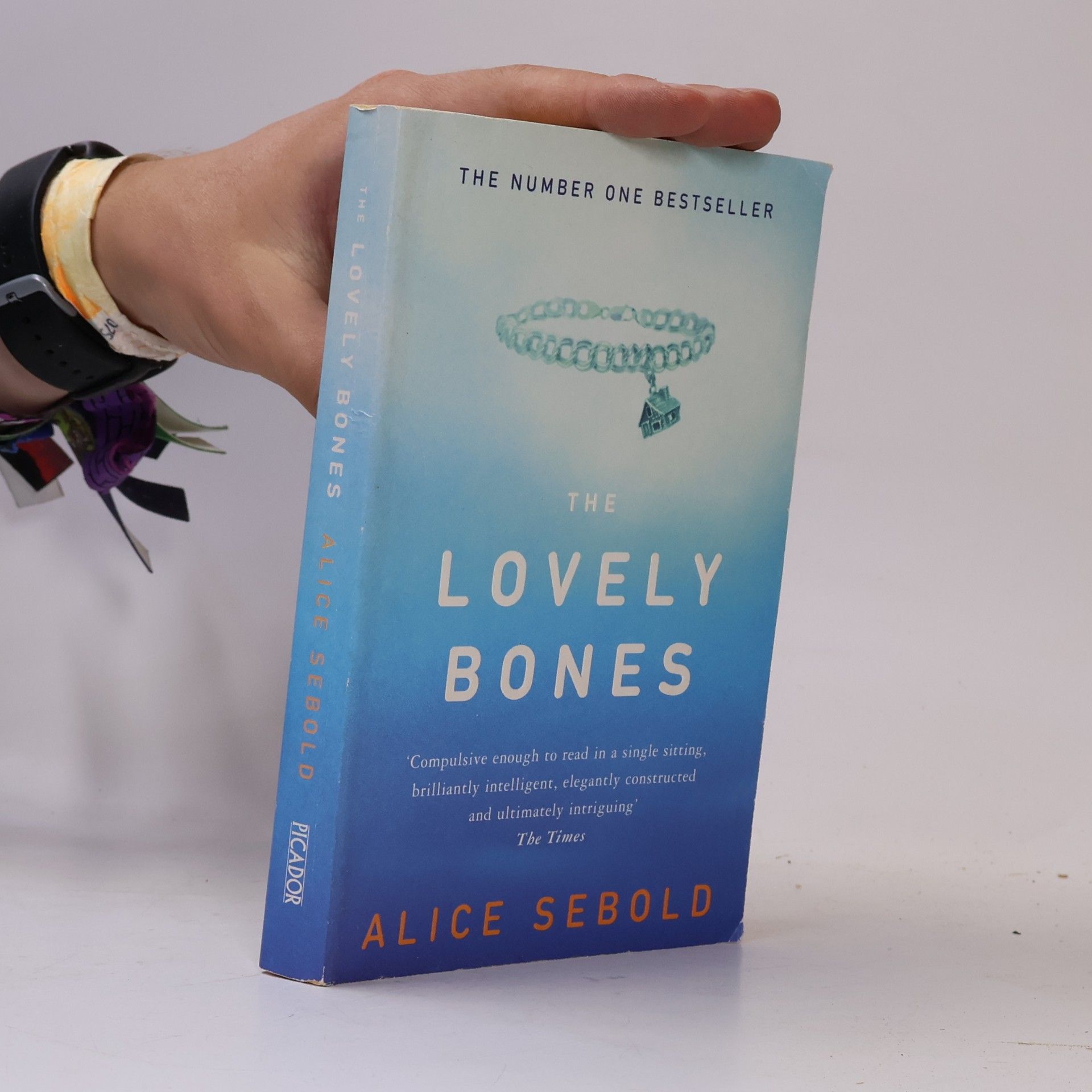 Alice Sebold The Lovely Bones