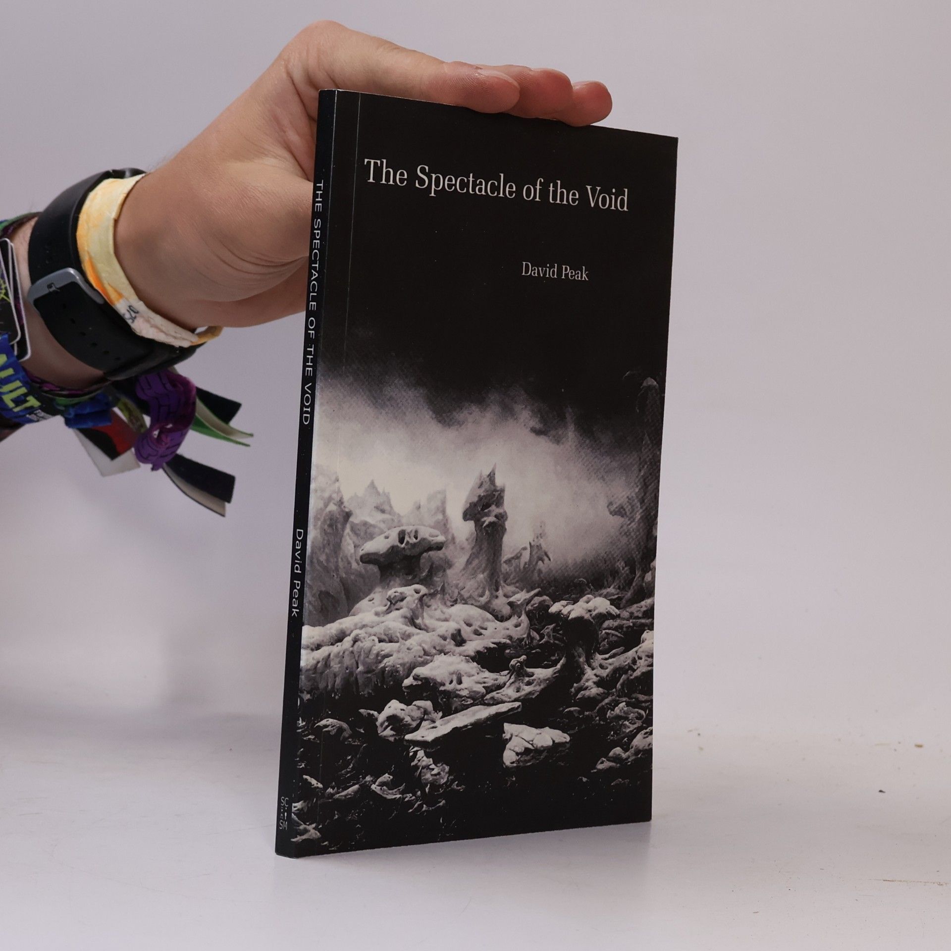 David Peak The Spectacle of the Void