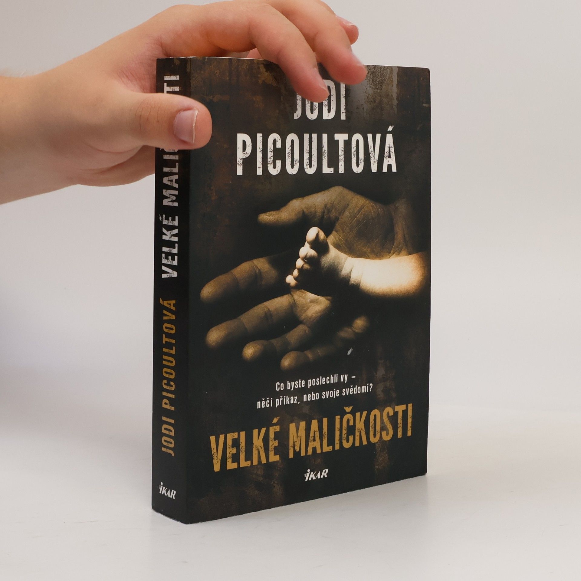 Jodi Picoult Velké maličkosti