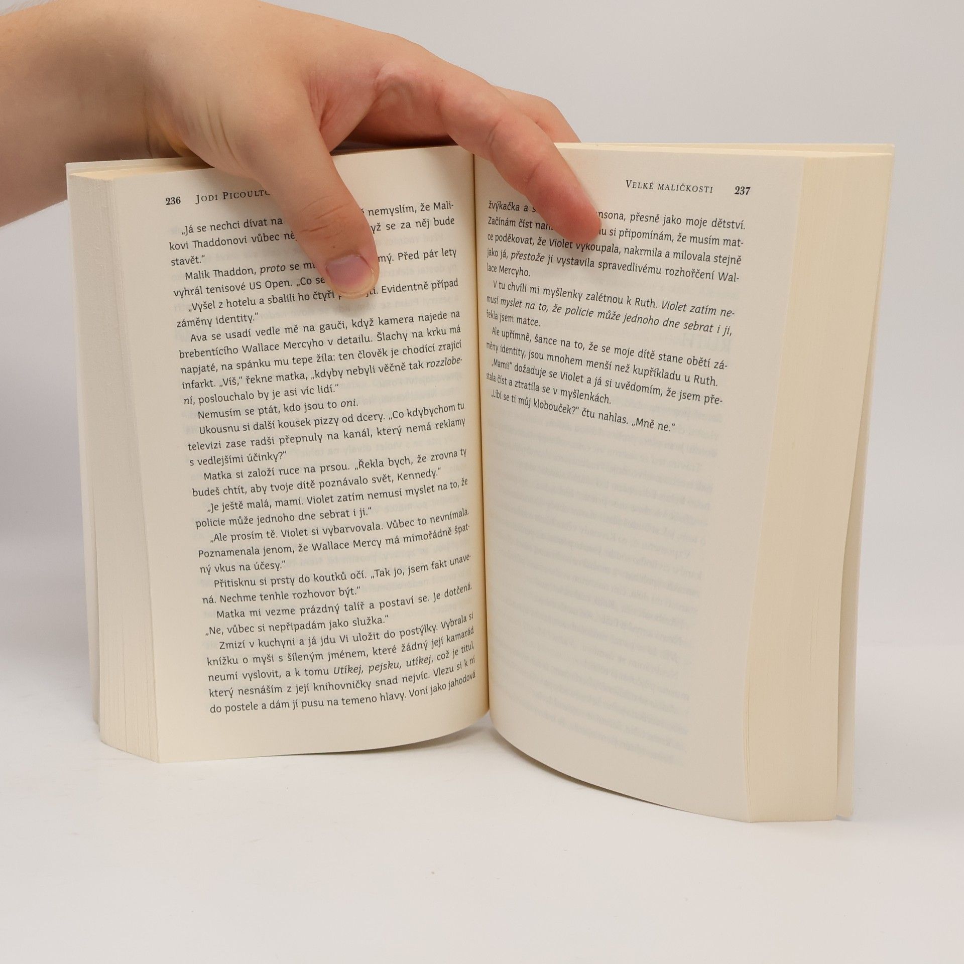Jodi Picoult Velké maličkosti