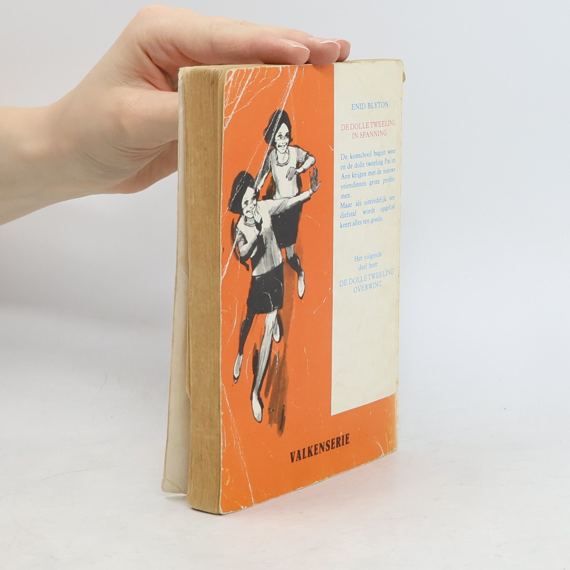 Enid Blyton De dolle tweeling in spanning
