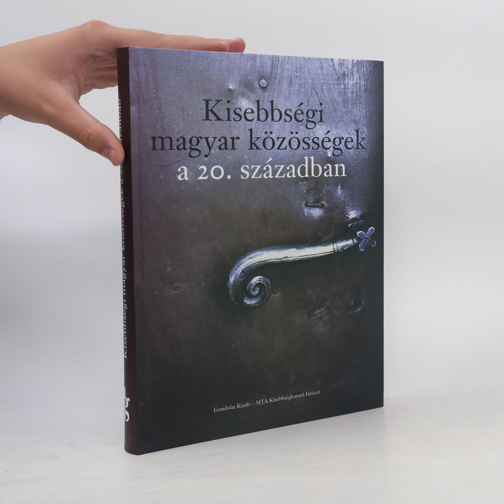 Collectif d'auteurs Kisebbségi magyar közösségek a 20. században