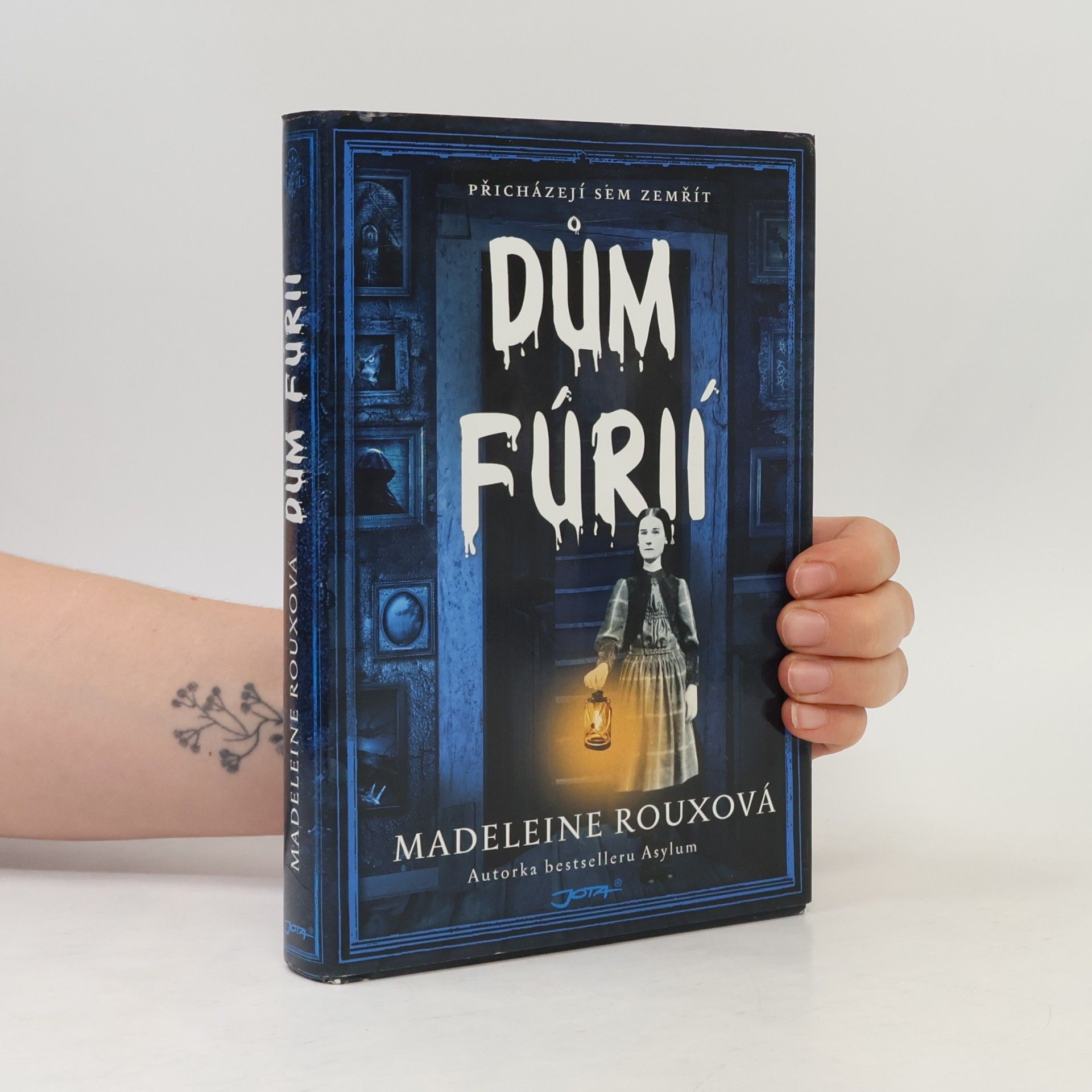 Madeleine Roux Dům fúrií