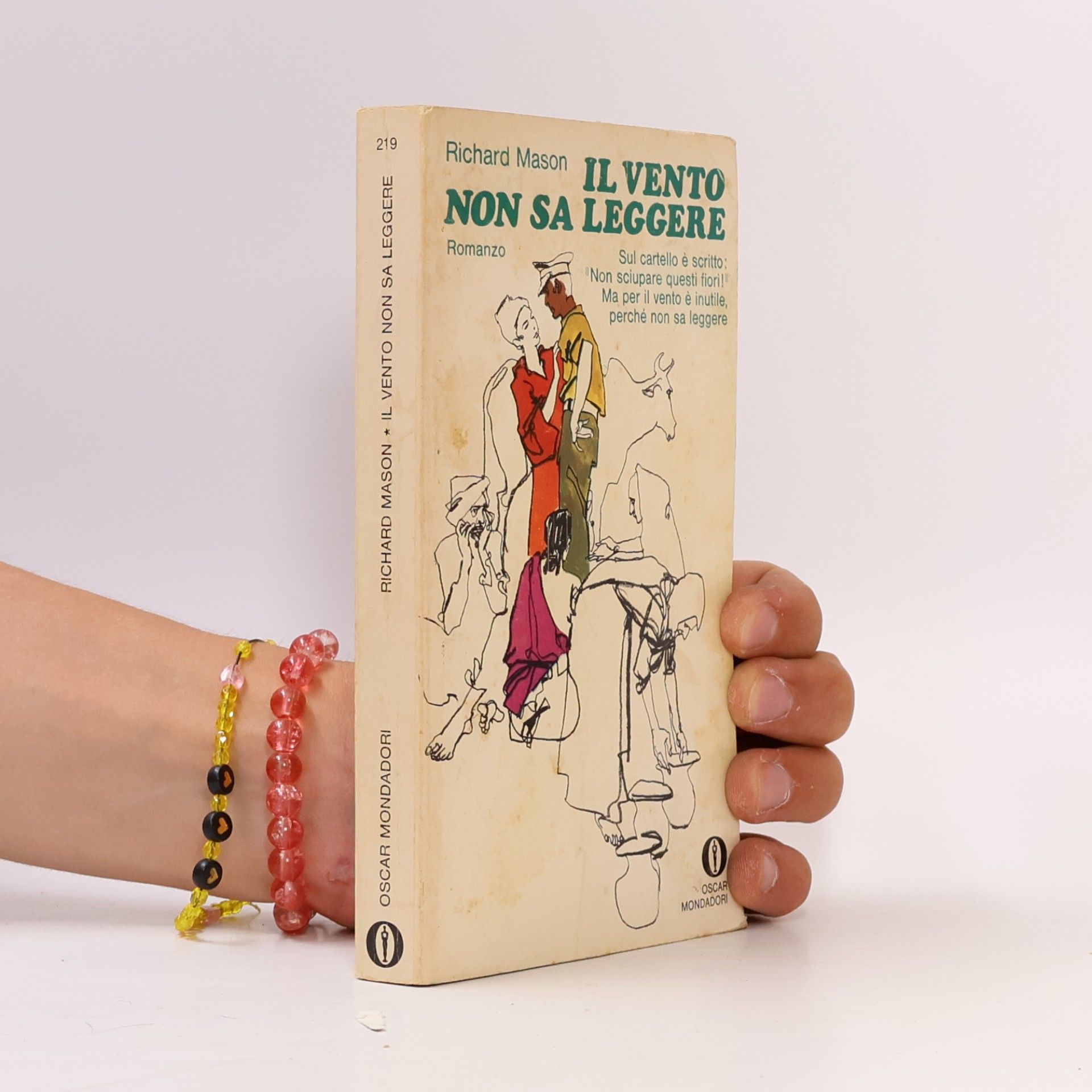 Richard Mason Il vento non sa leggere