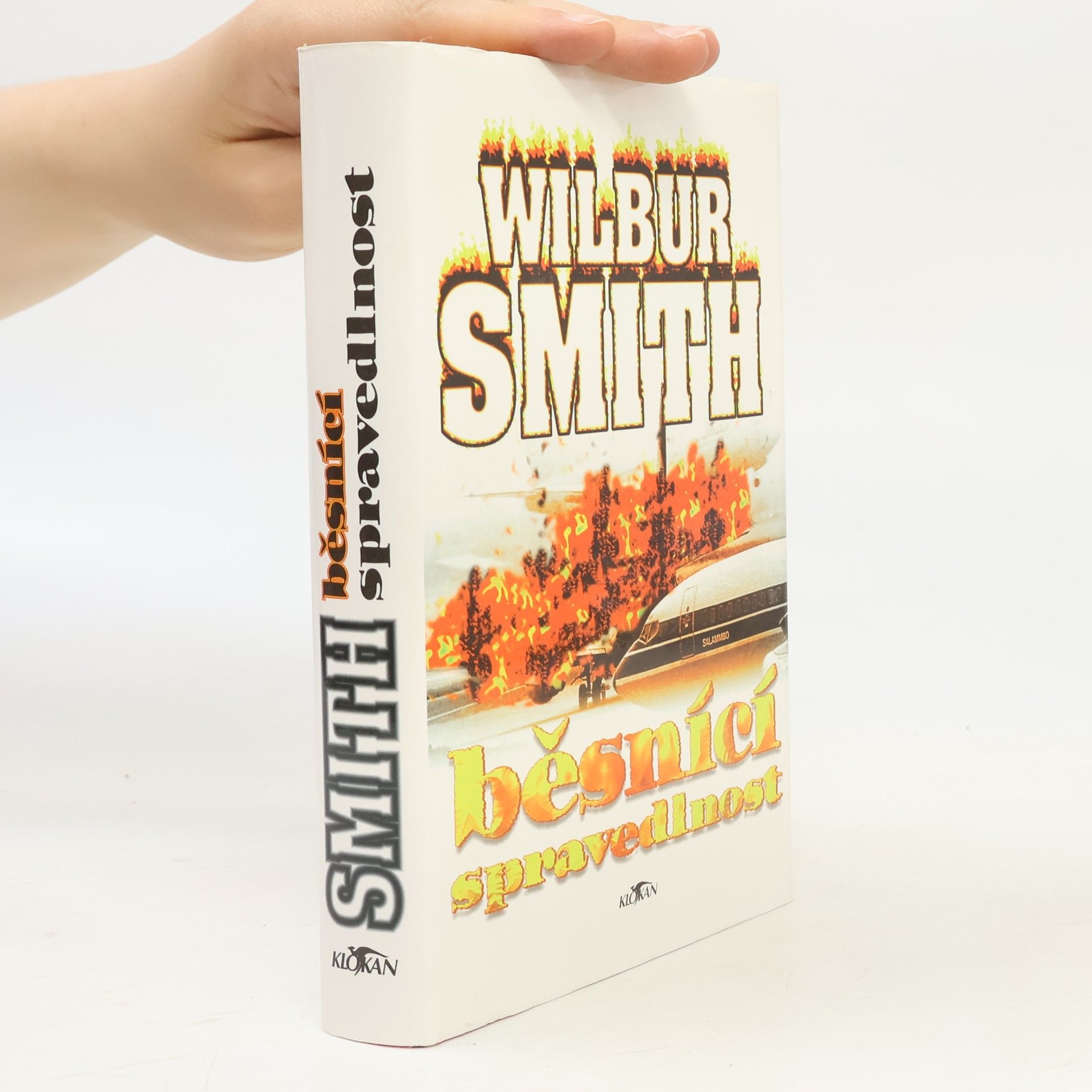 Wilbur Smith Běsnící spravedlnost