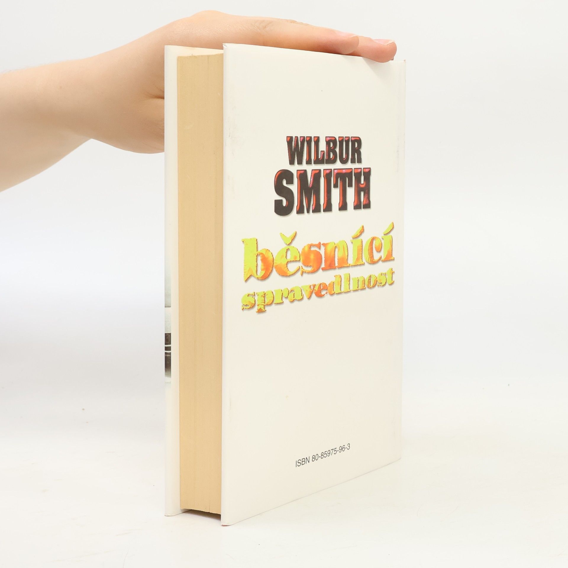 Wilbur A. Smith Běsnící spravedlnost