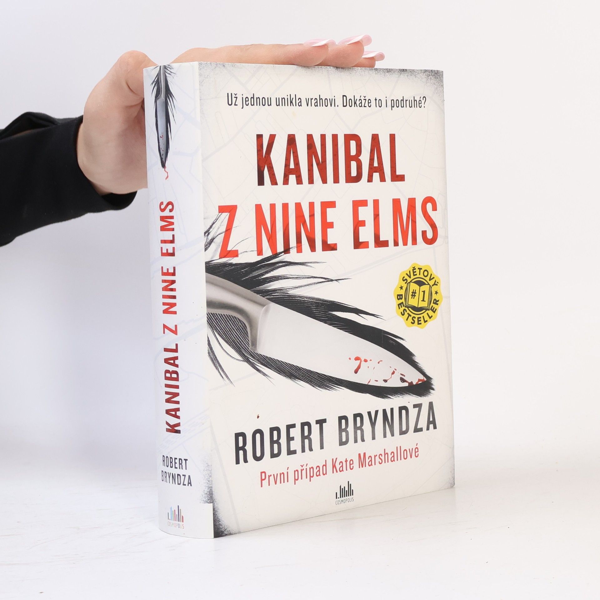 Robert Bryndza Kanibal z Nine Elms