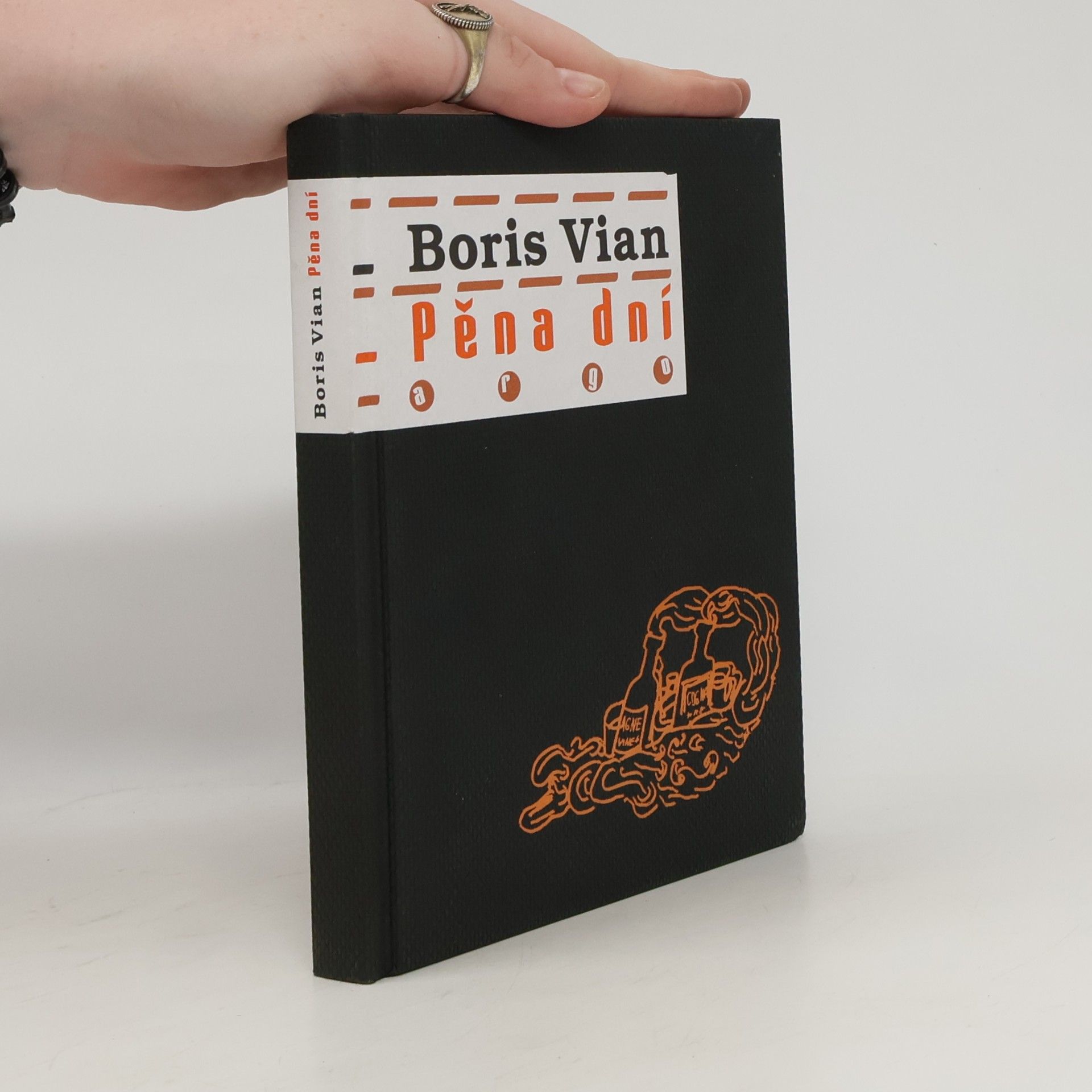 Boris Vian Pěna dní