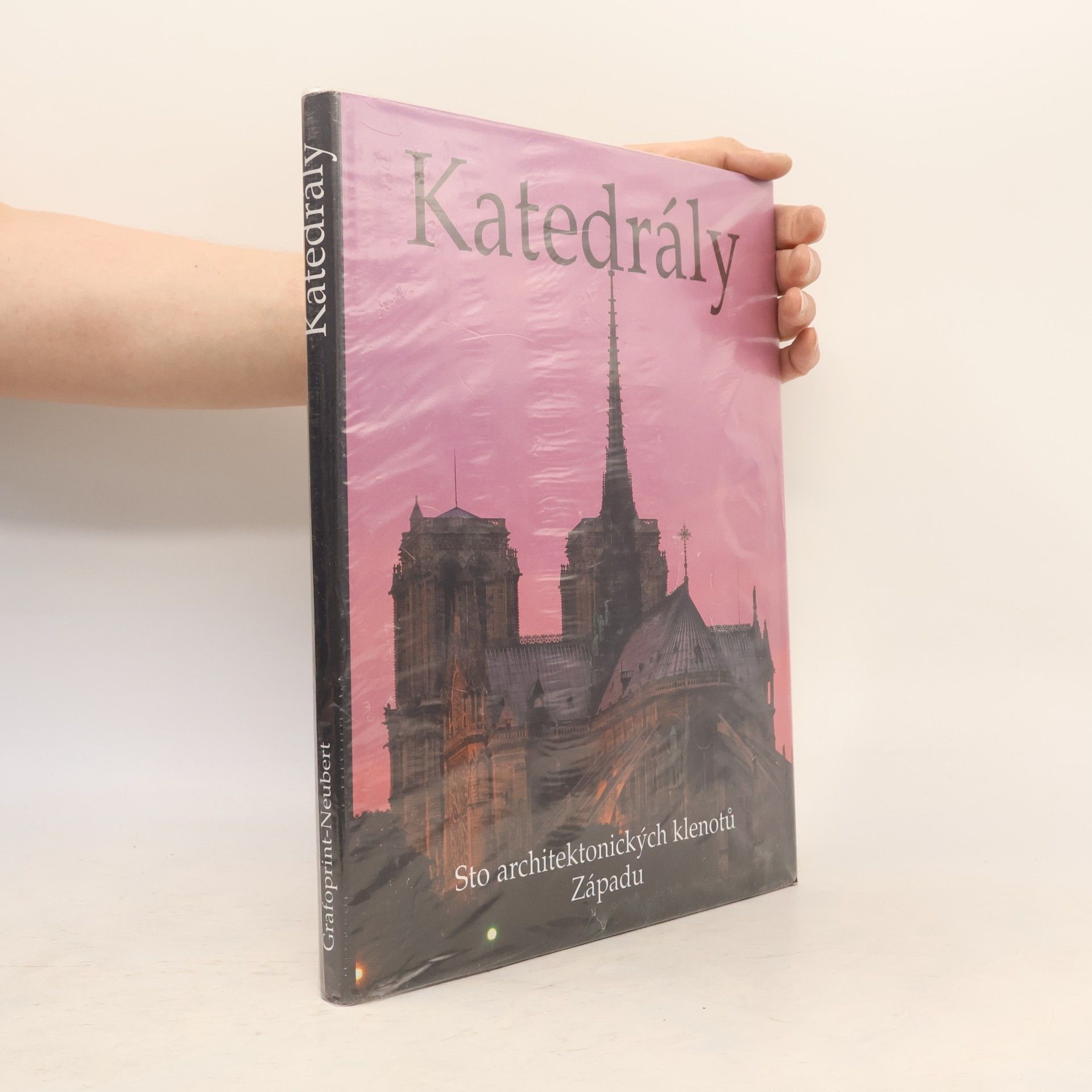 Josef Matějů Katedrály. Sto architektonických klenotů Západu