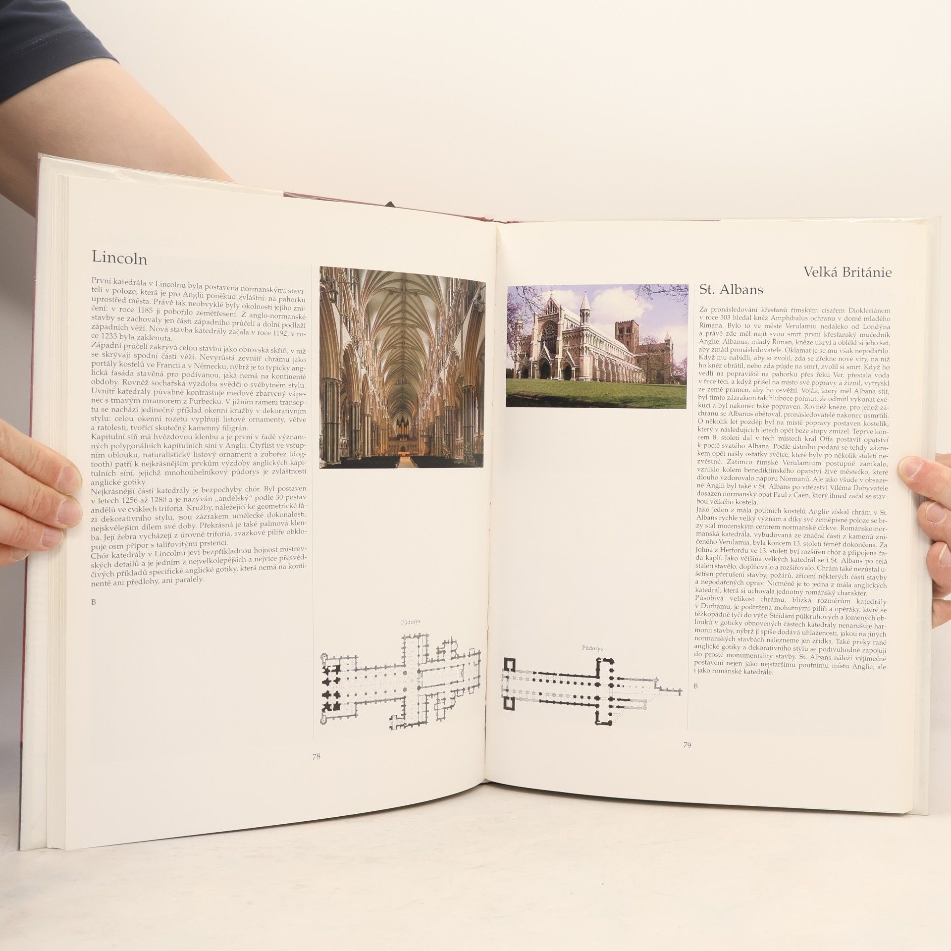 Charlotte Behringer Katedrály. Sto architektonických klenotů Západu