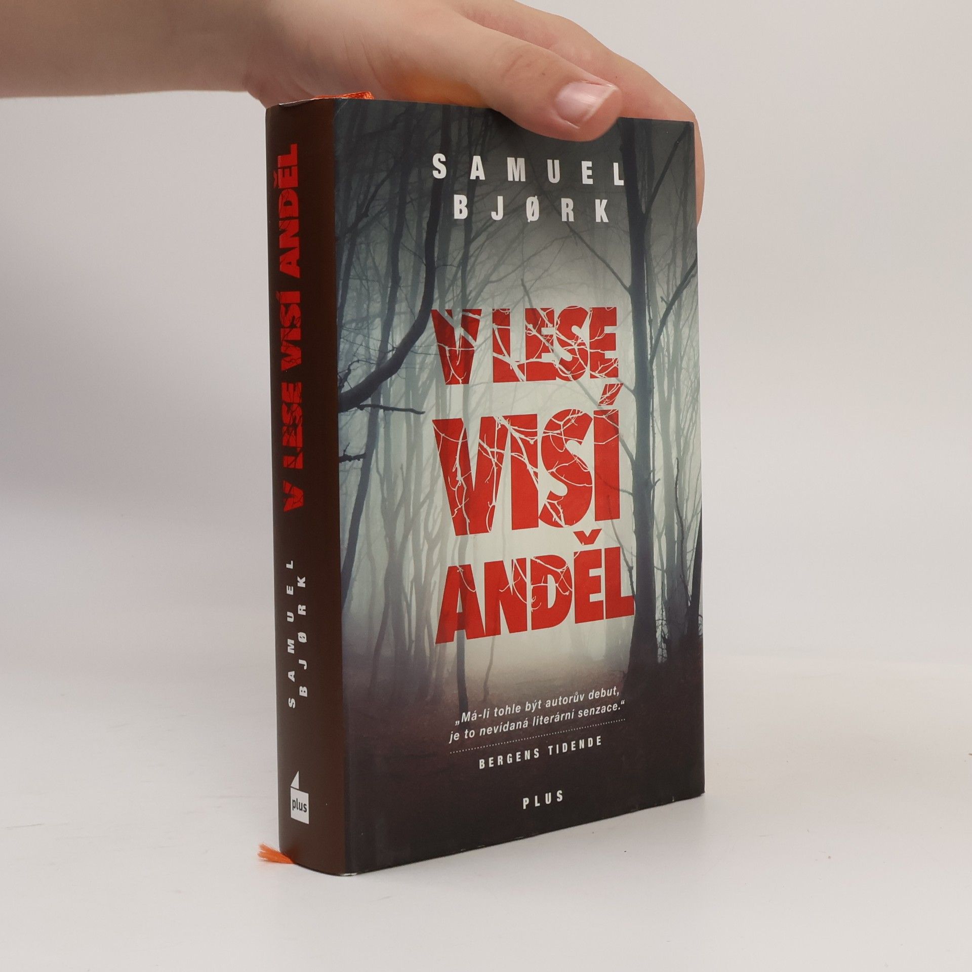 Samuel Bjork V lese visí anděl