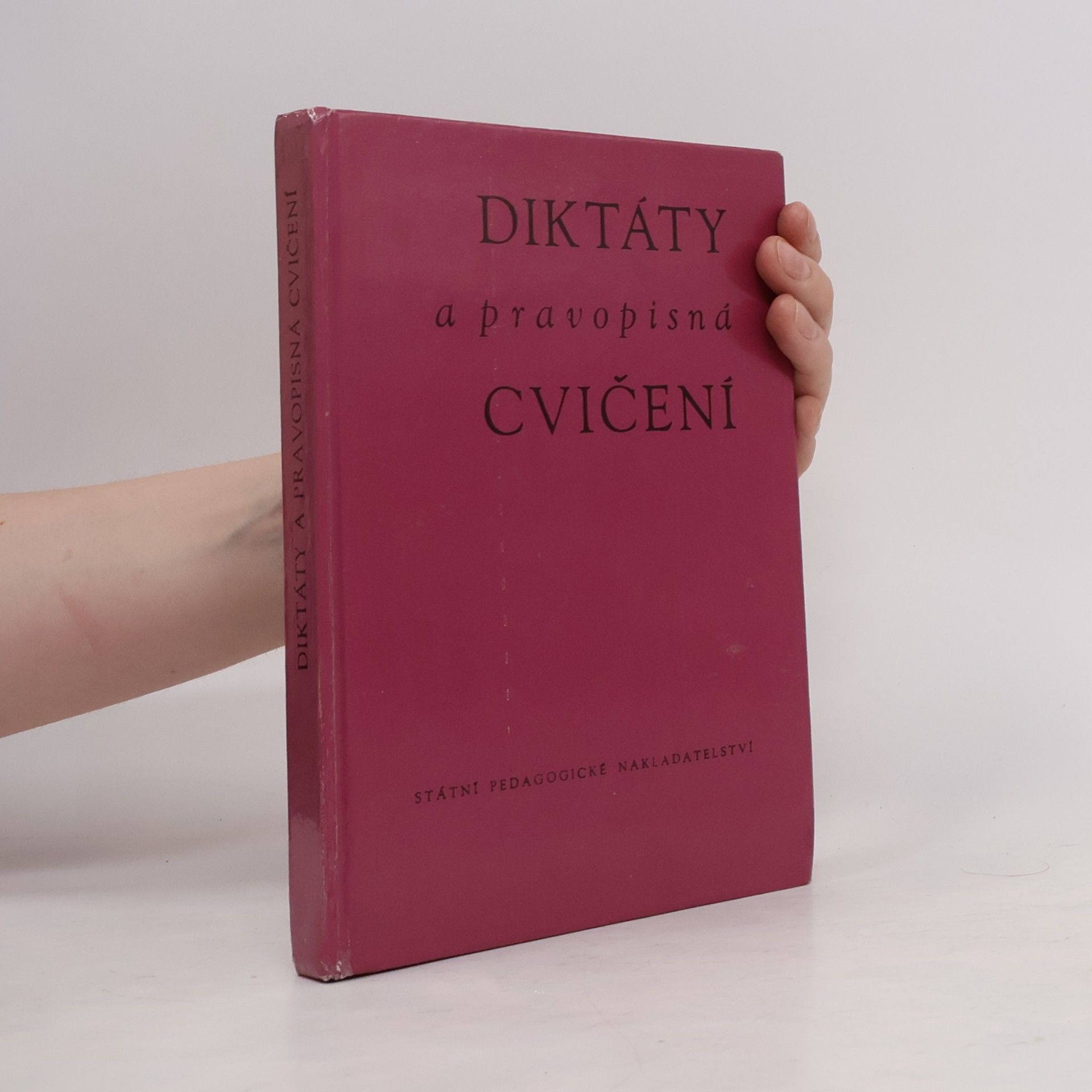 Ladislav Pallas Diktáty a pravopisná cvičení