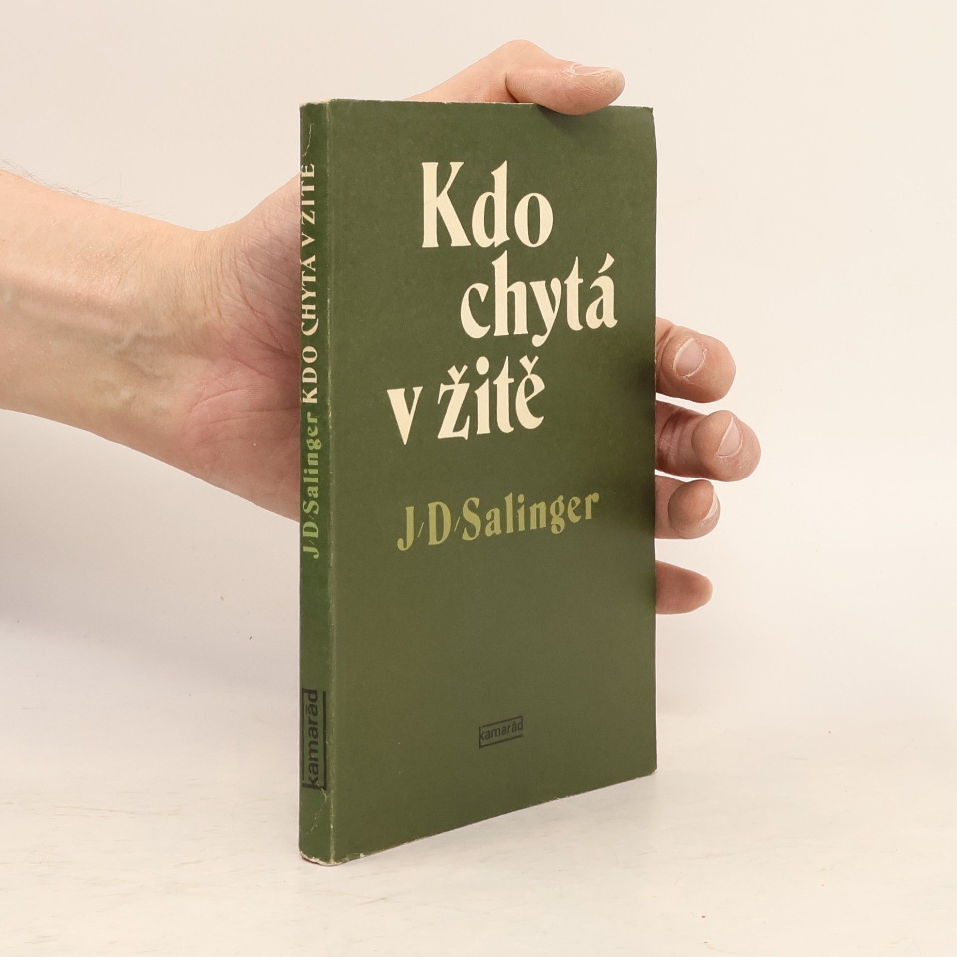 J. D. Salinger Kdo chytá v žitě