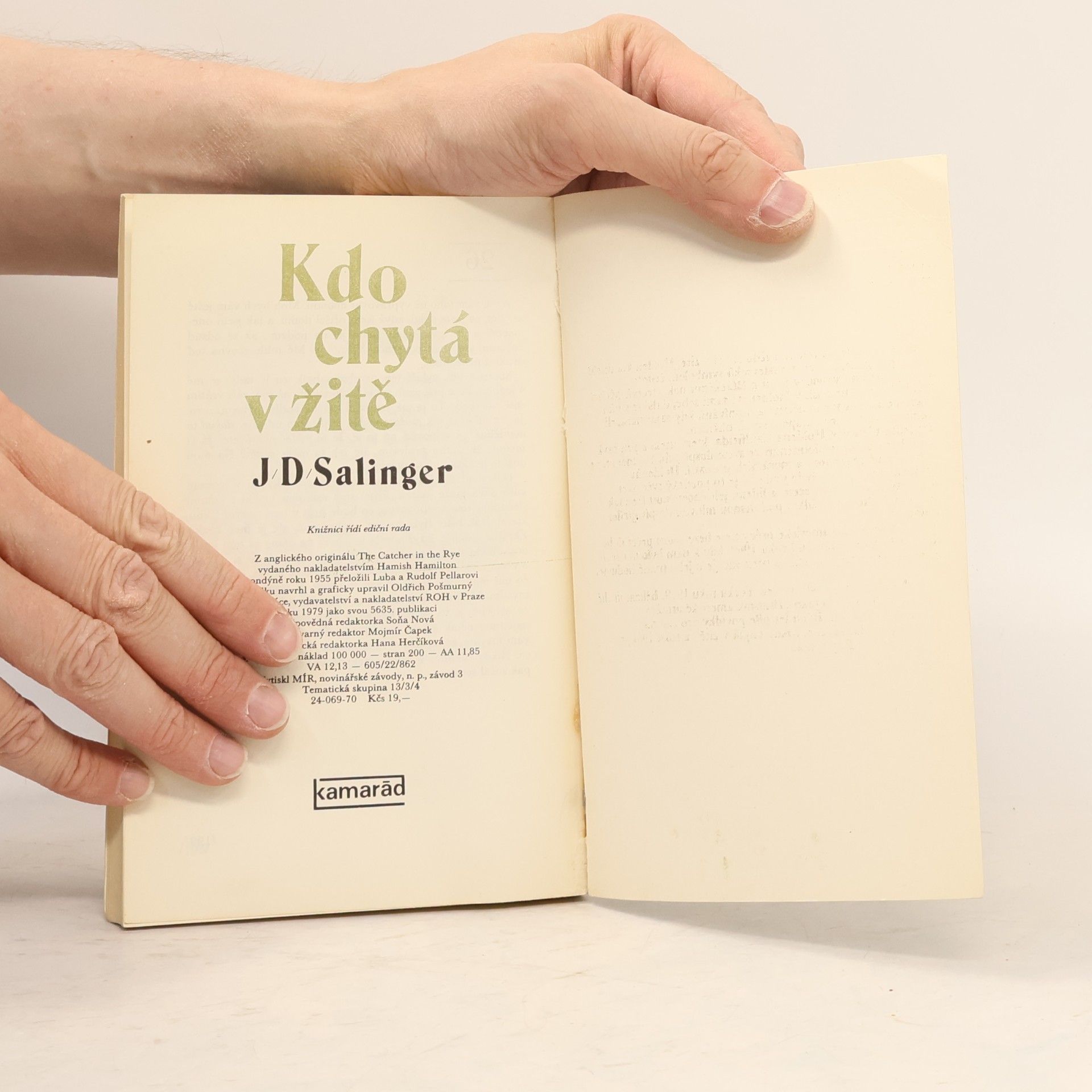 J. D. Salinger Kdo chytá v žitě