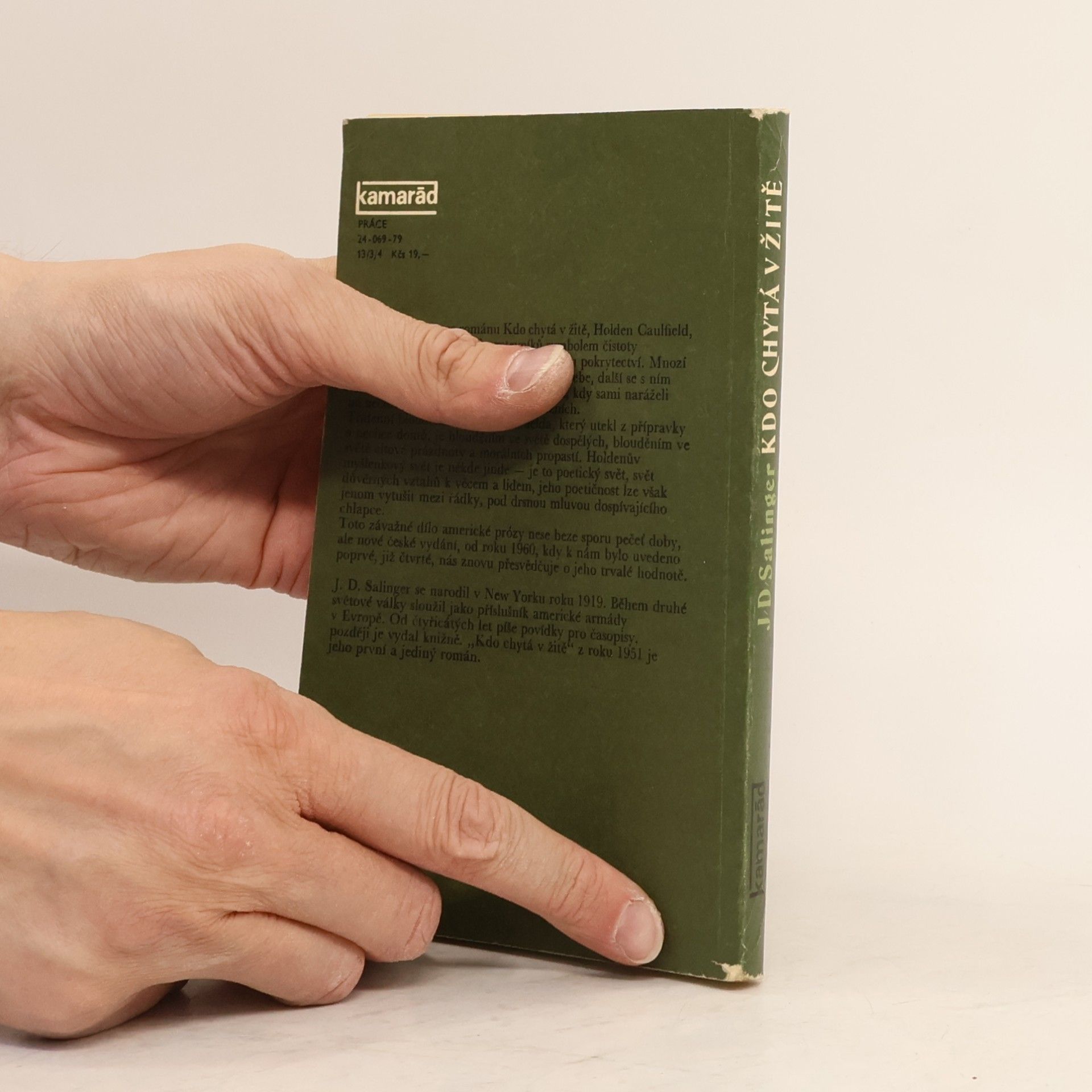 J. D. Salinger Kdo chytá v žitě