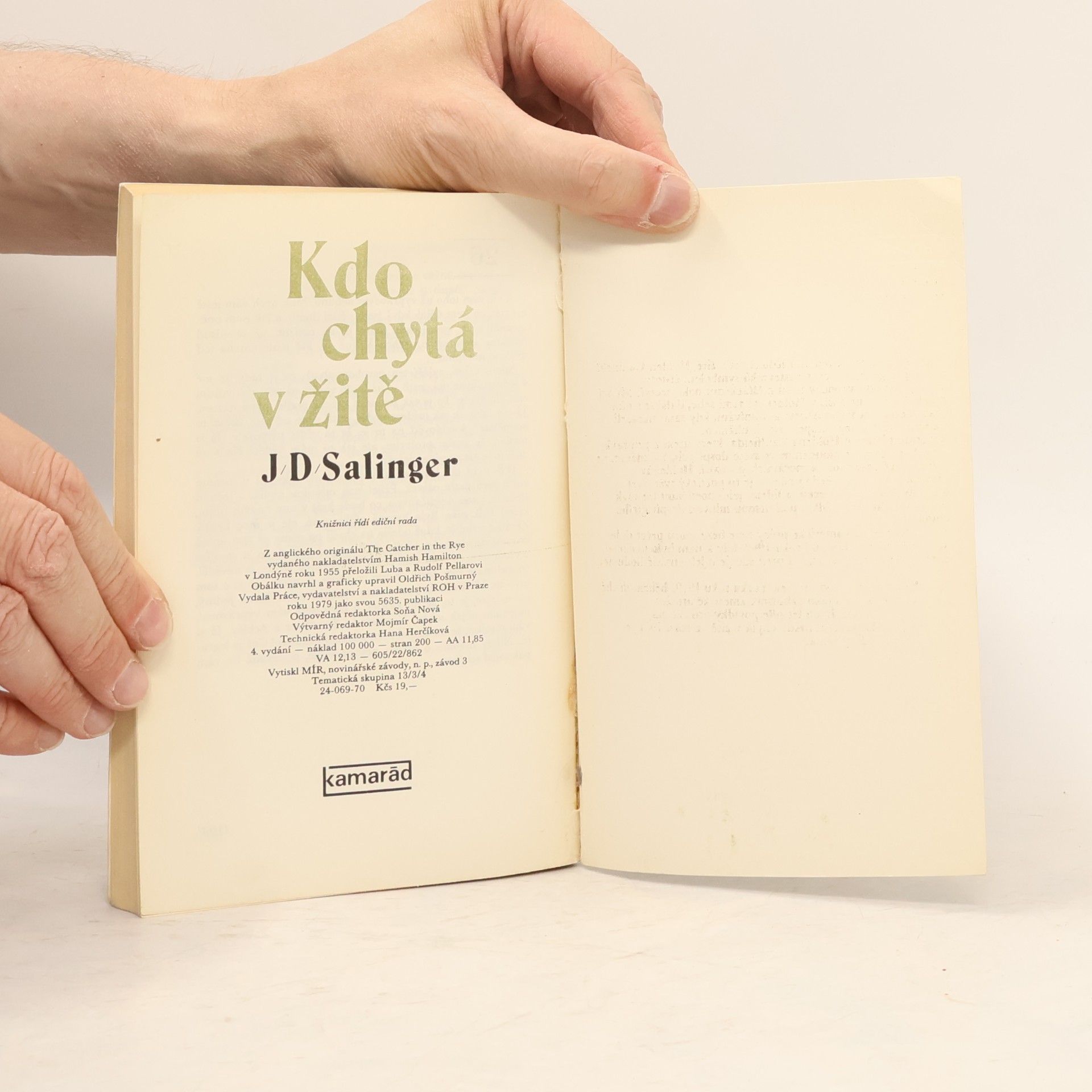 J. D. Salinger Kdo chytá v žitě
