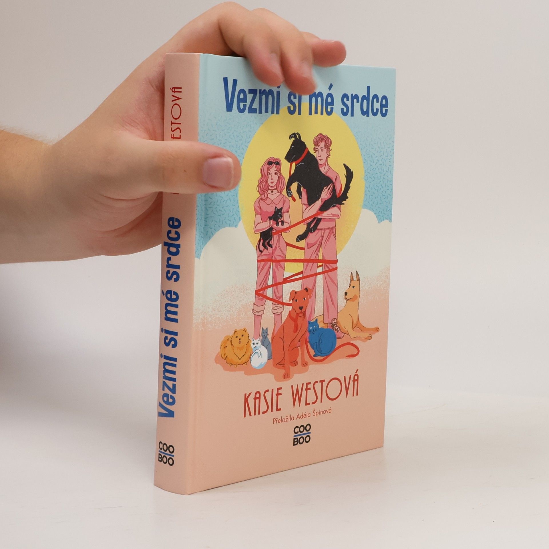 Kasie West Vezmi si mé srdce