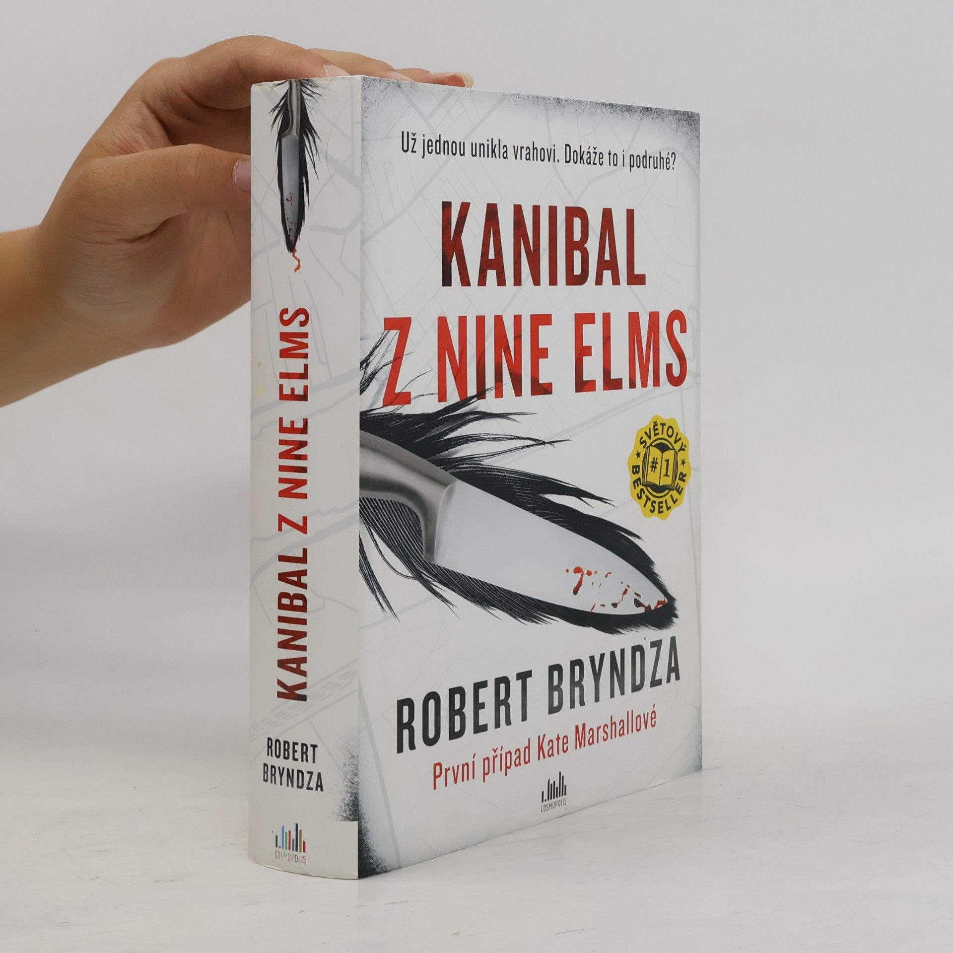 Robert Bryndza Kanibal z Nine Elms