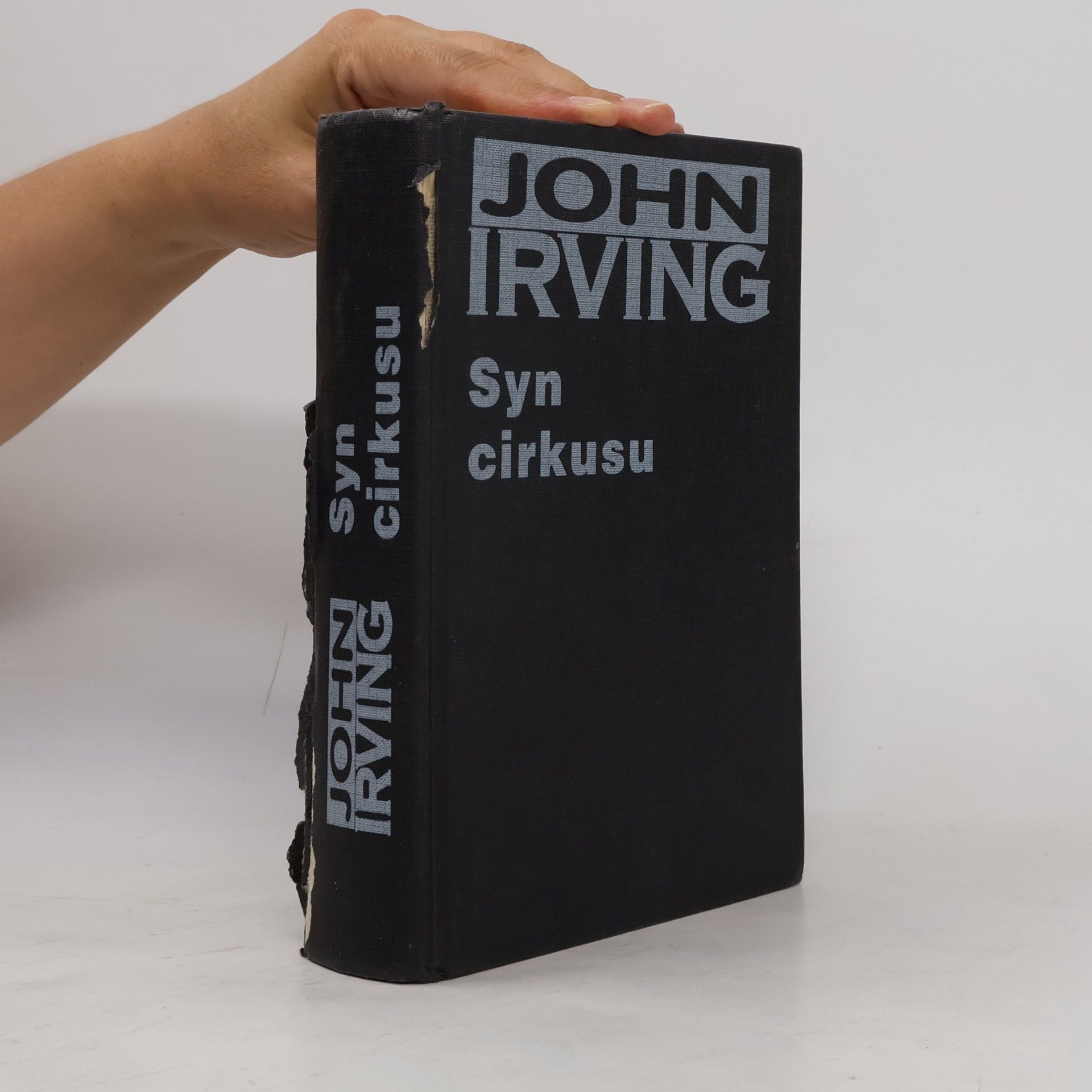 John Irving Syn cirkusu