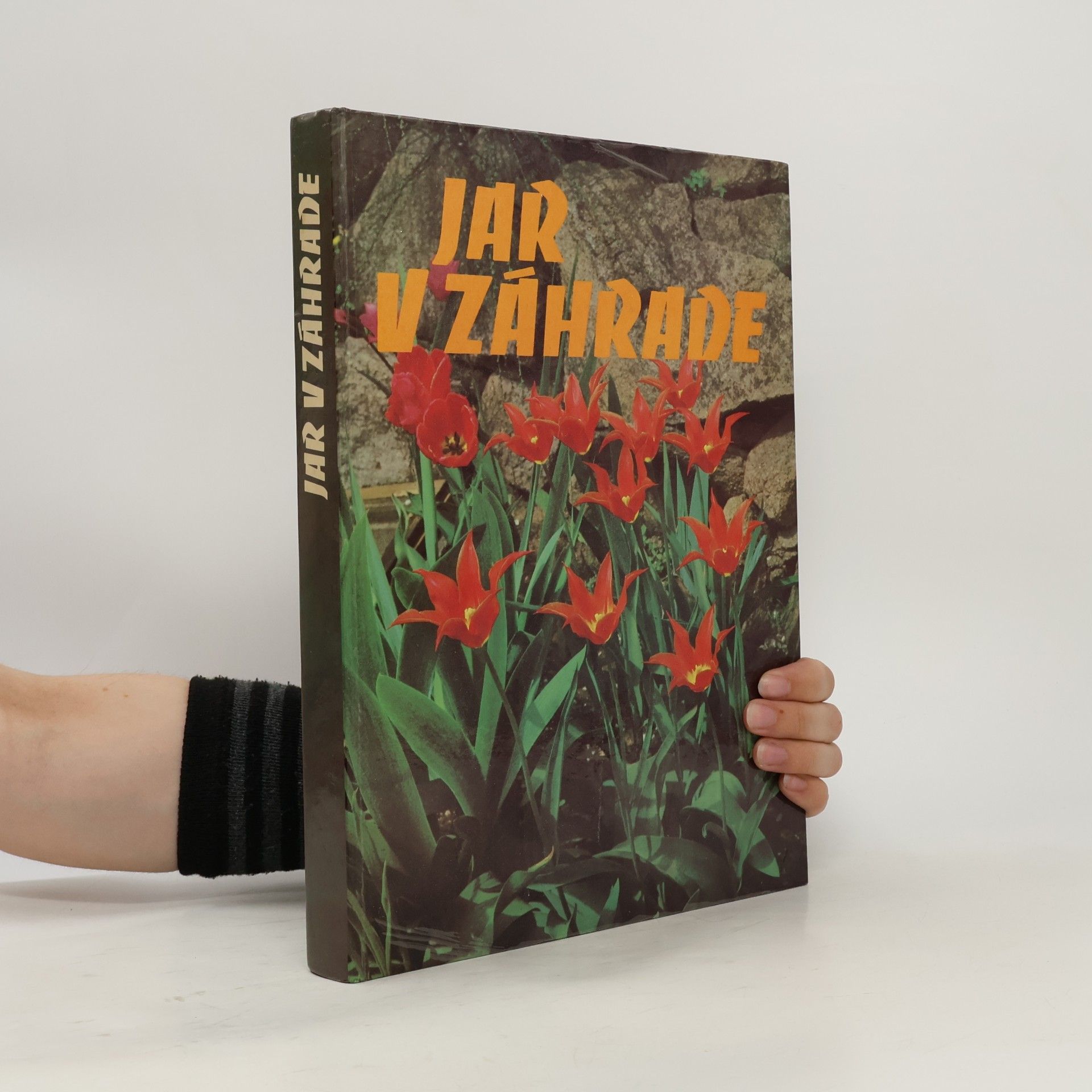 Various authors Jar v záhrade