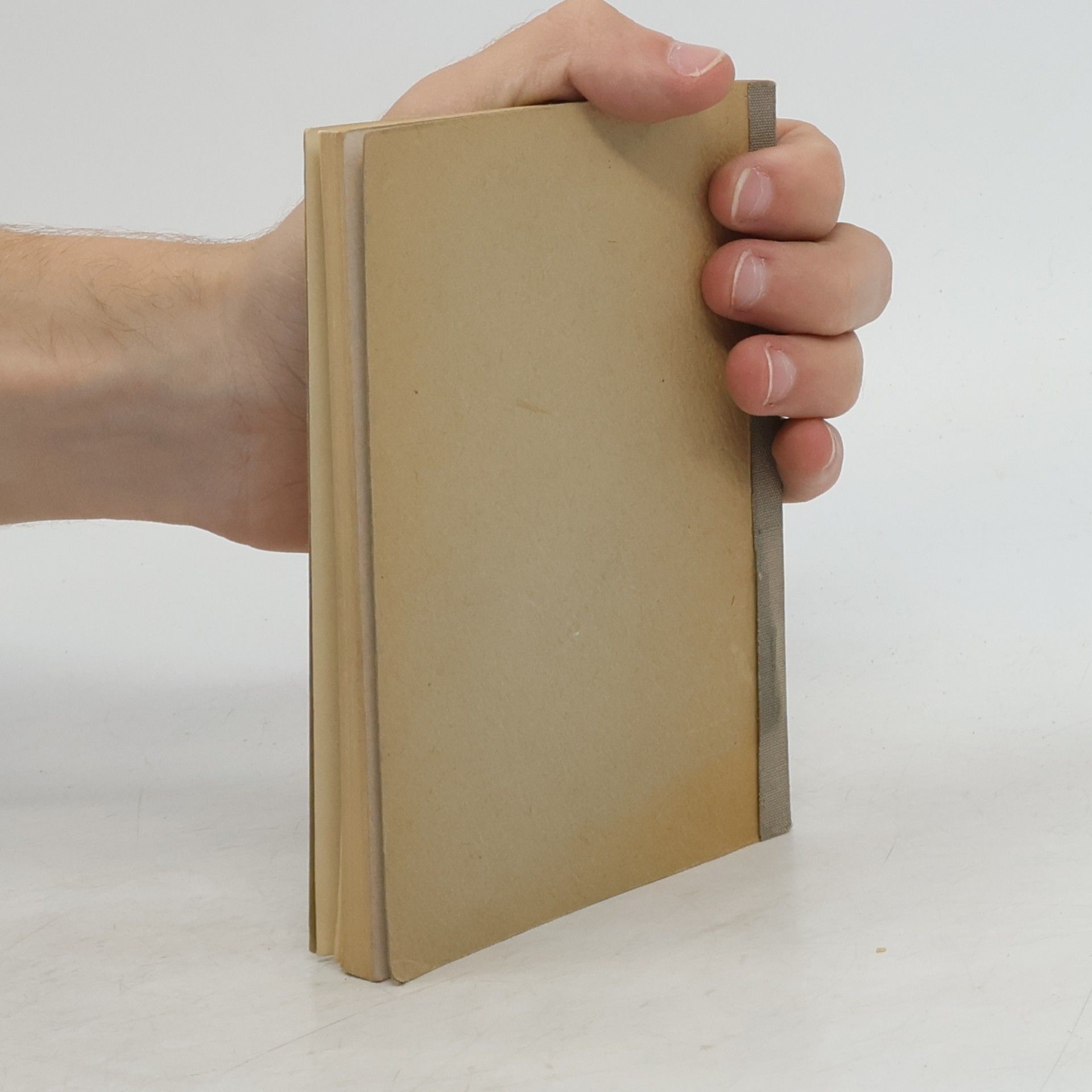 Autorenkollektiv Das Rassegeflügel : eine Sammlung von Farbtafeln, Beschreibungen und Zuchtlinien. Tauben II
