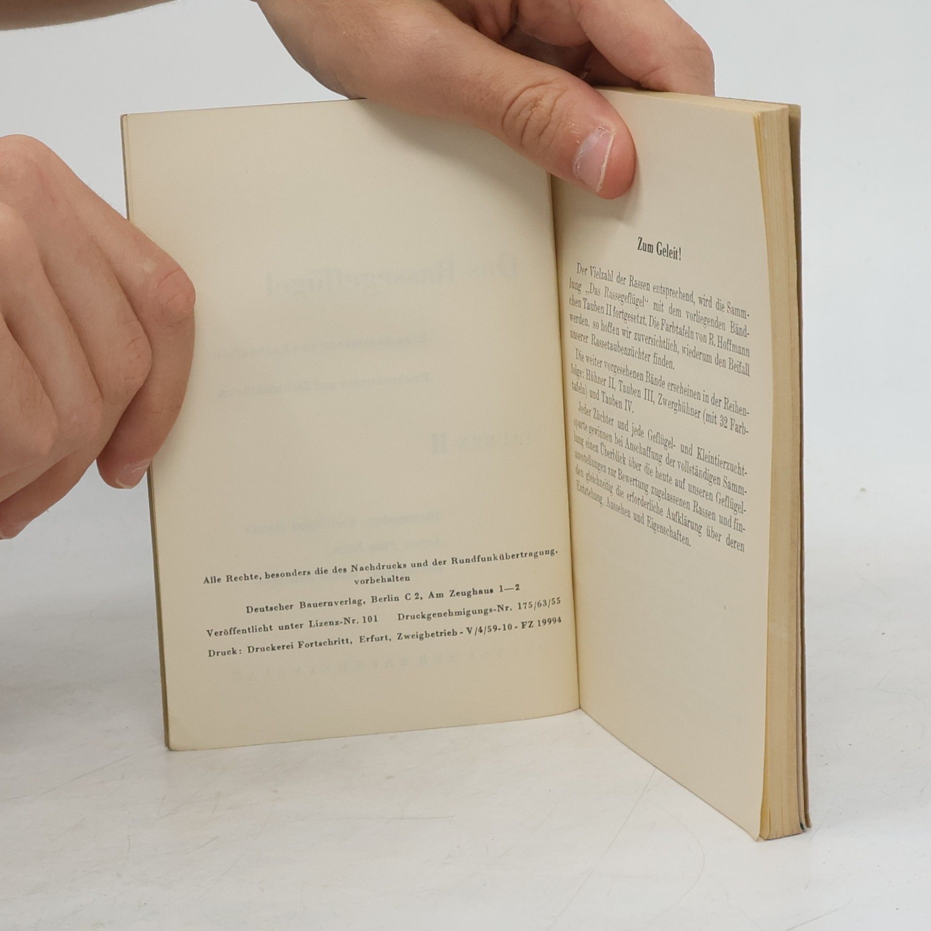 Autorenkollektiv Das Rassegeflügel : eine Sammlung von Farbtafeln, Beschreibungen und Zuchtlinien. Tauben II