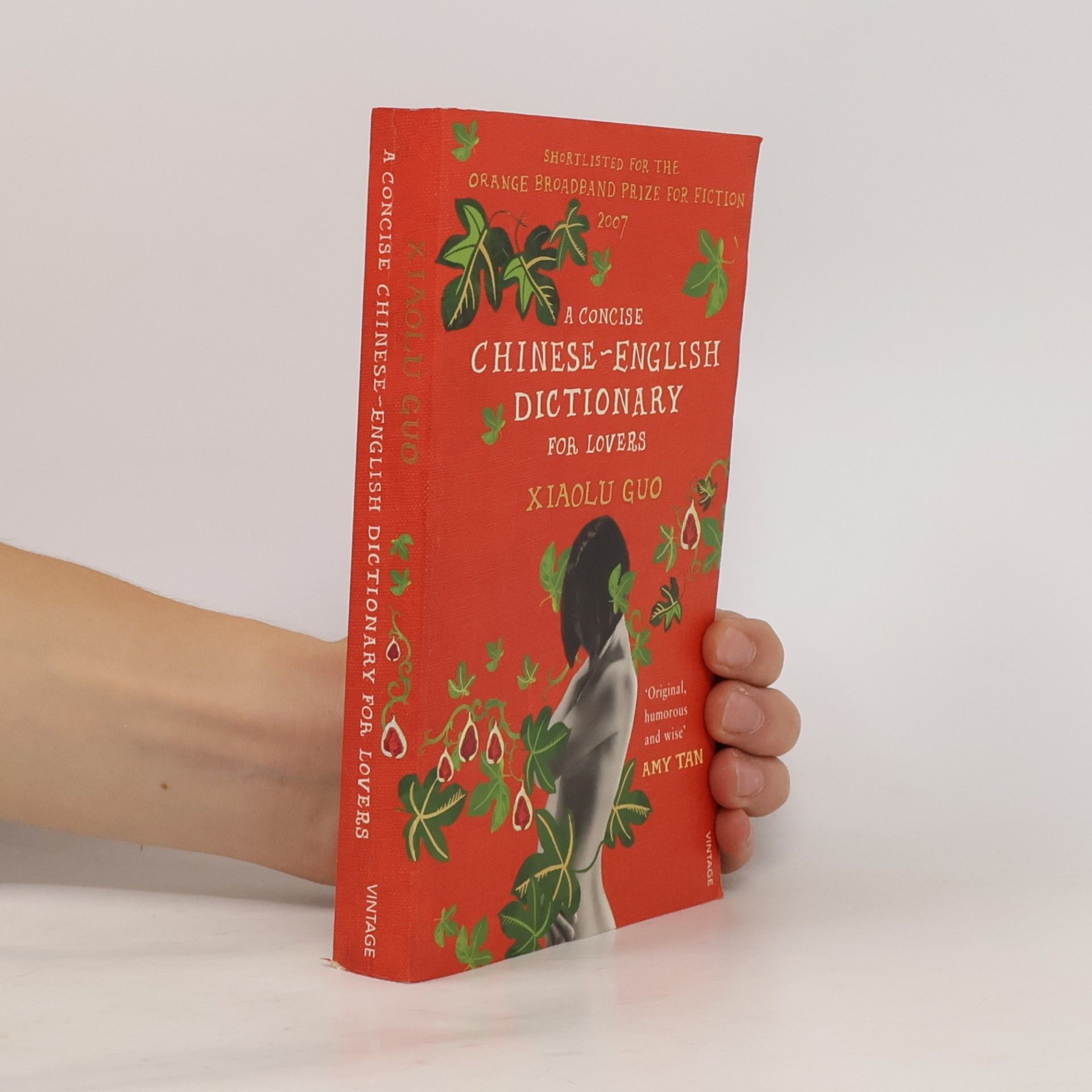 Guo Xiaolu A Concise Chinese-English Dictionary for Lovers