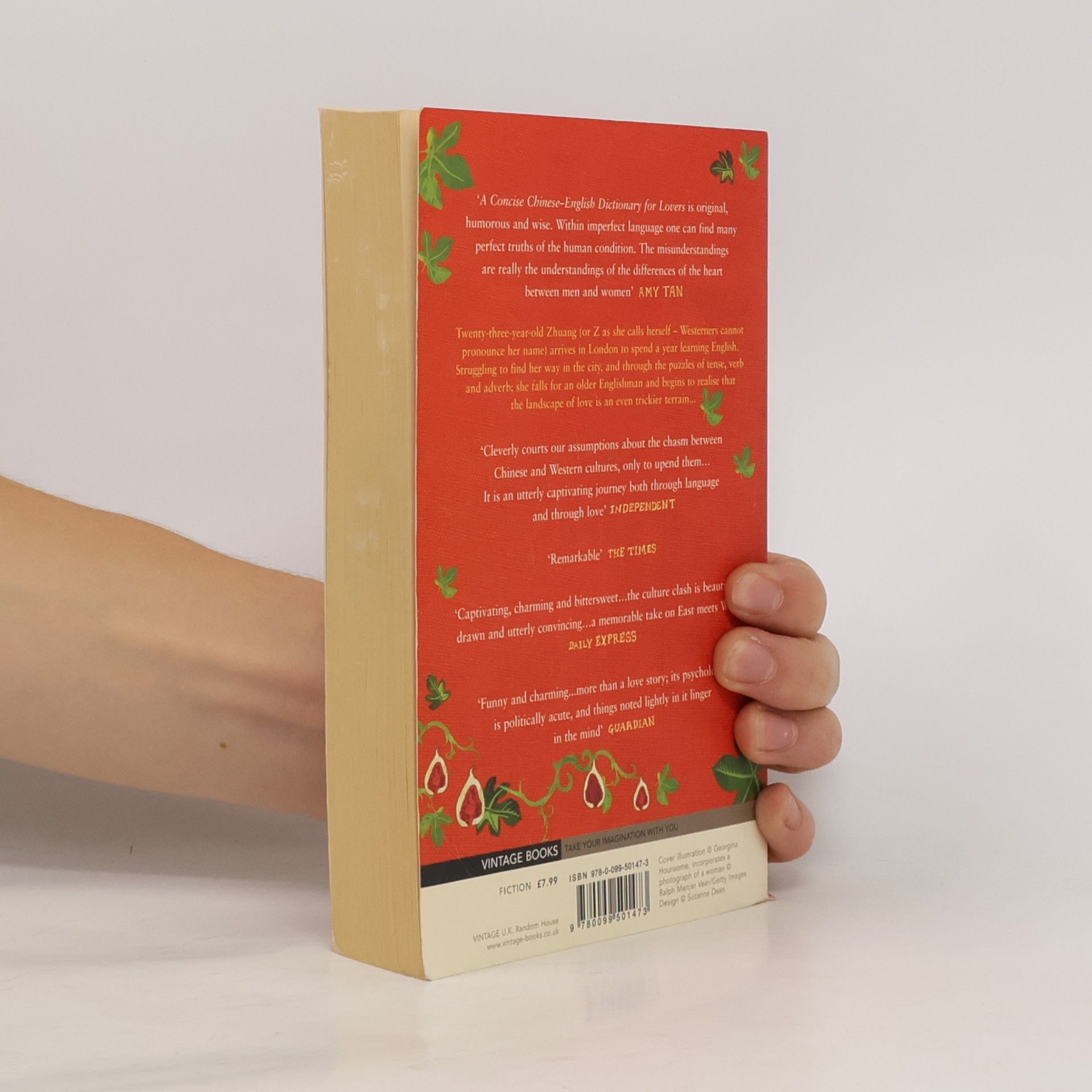Guo Xiaolu A Concise Chinese-English Dictionary for Lovers