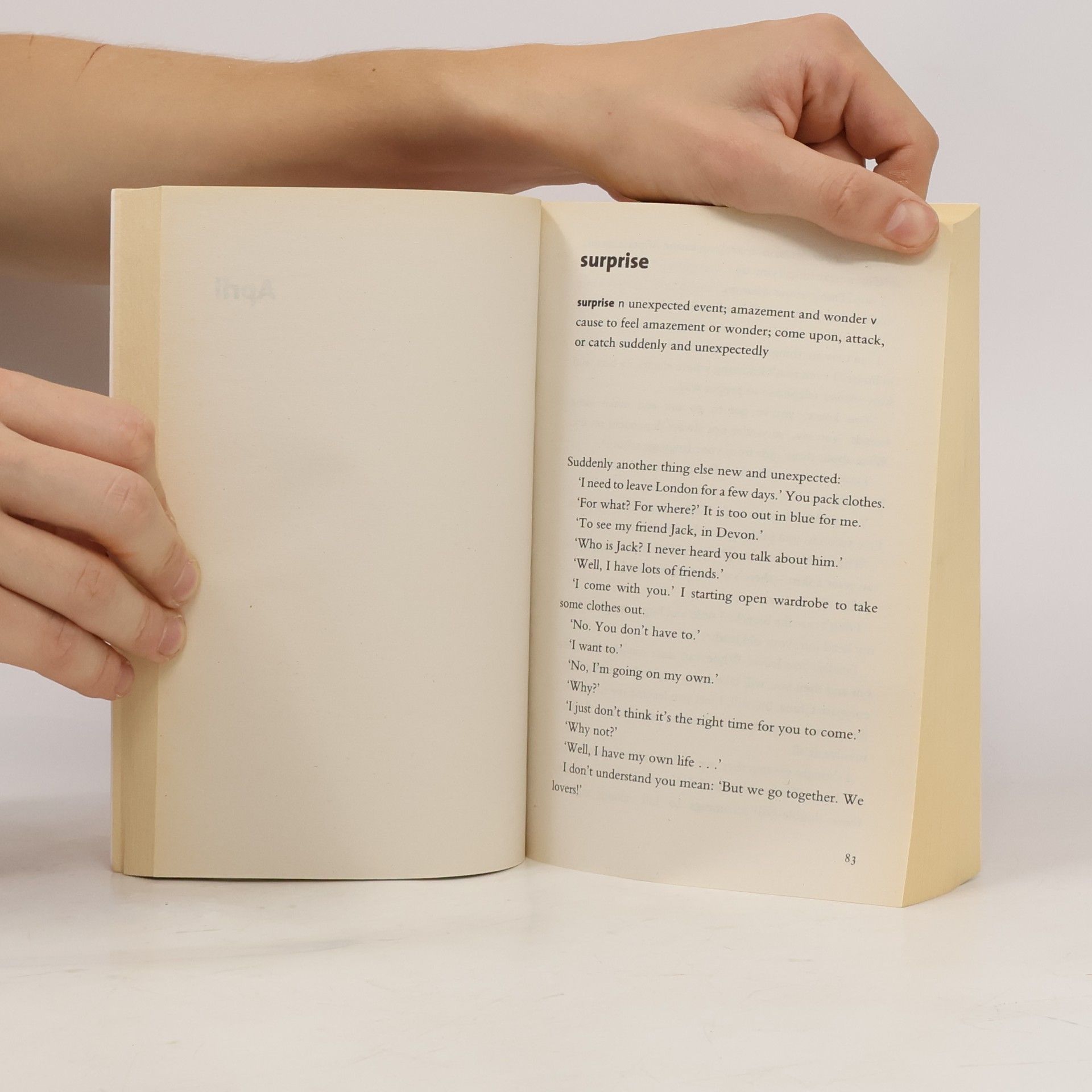 Guo Xiaolu A Concise Chinese-English Dictionary for Lovers