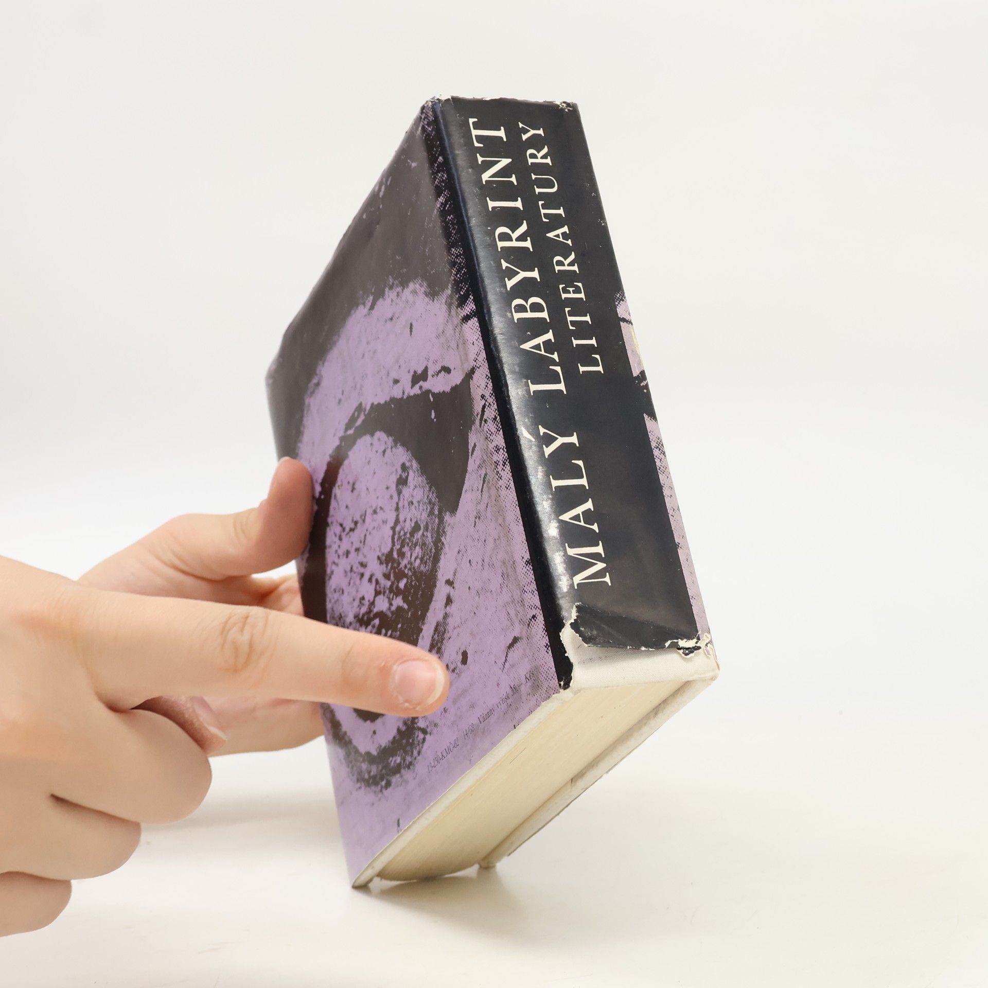 Viktor Kudělka Malý labyrint literatury