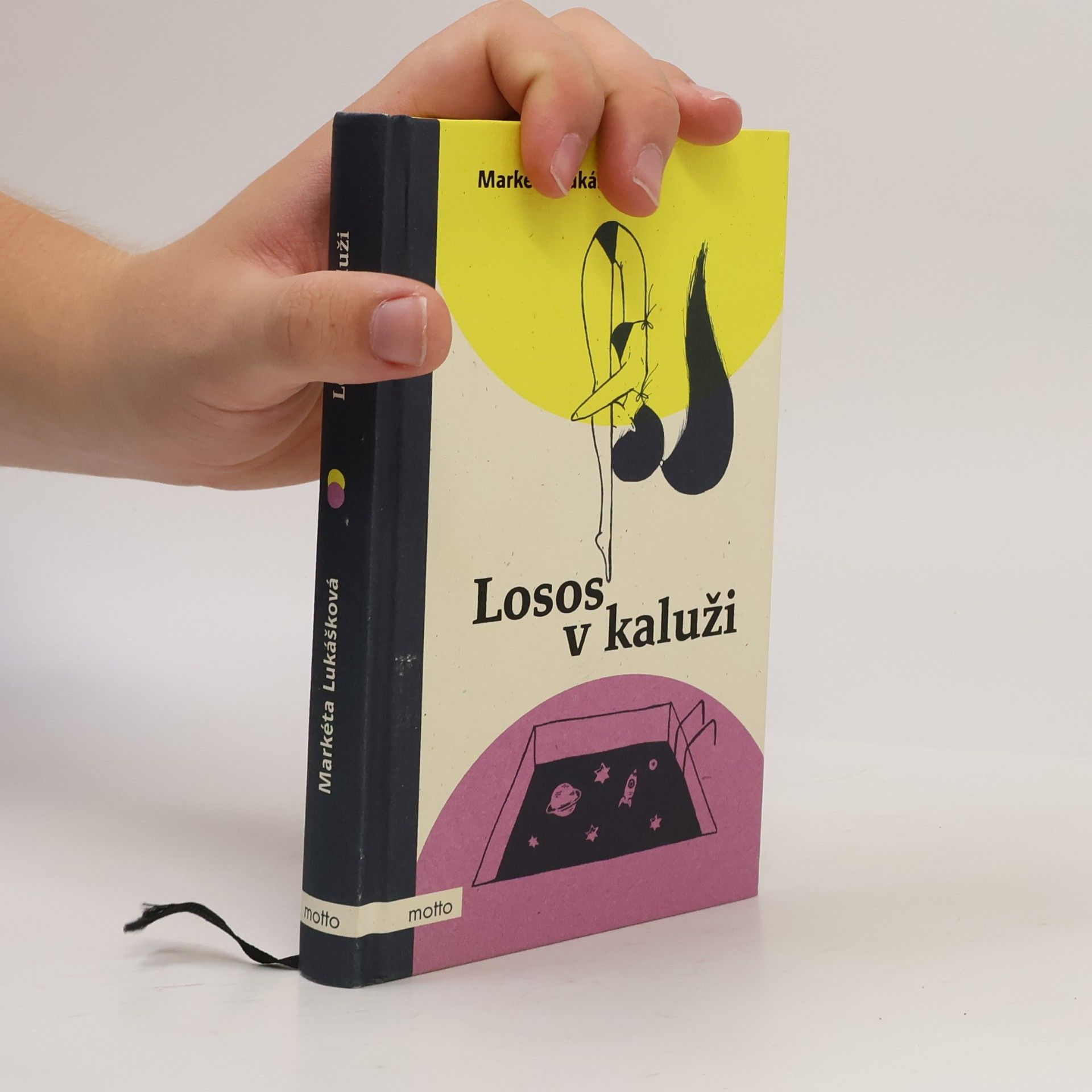 Markéta Lukášková Losos v kaluži
