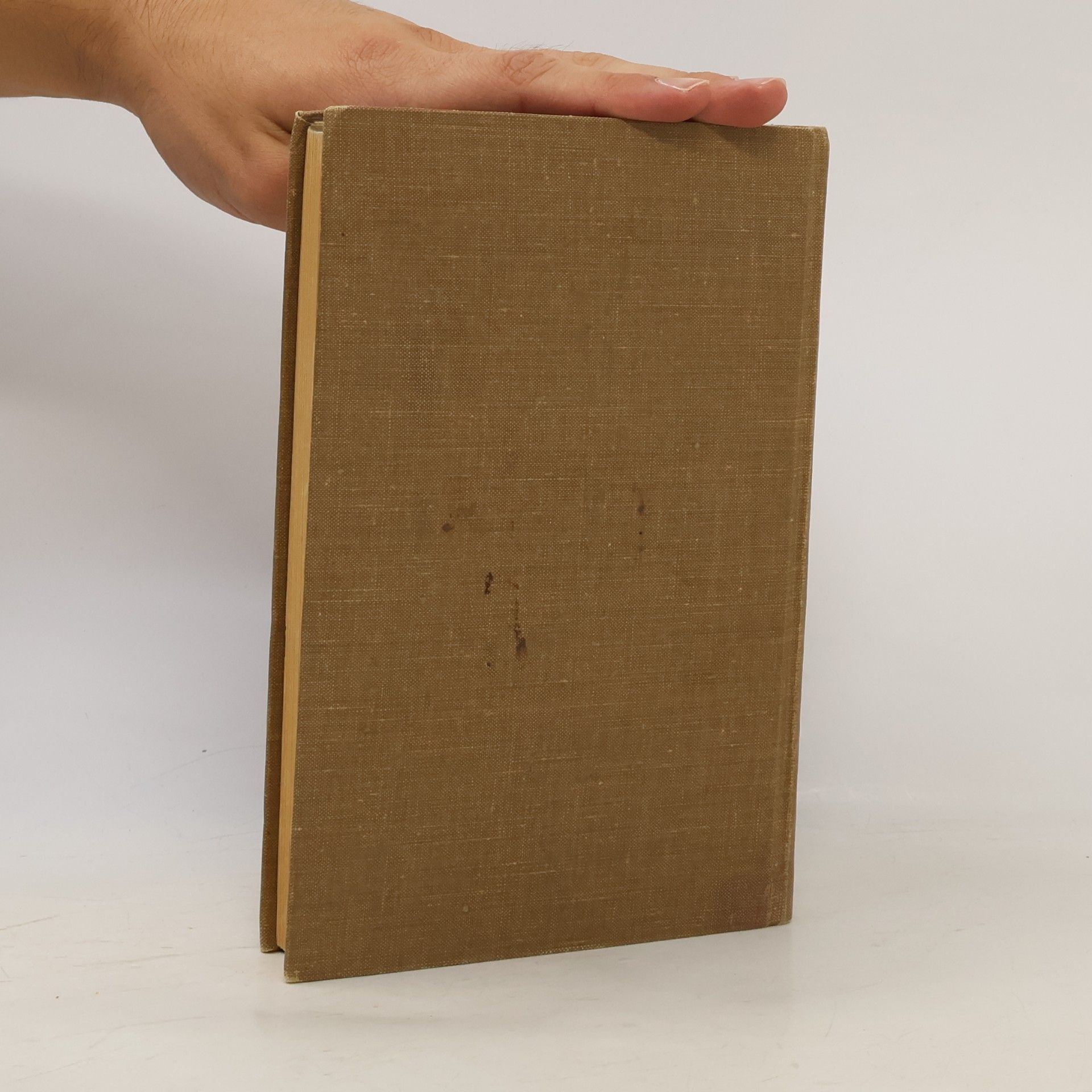 Sinclair Lewis Hlavná ulica