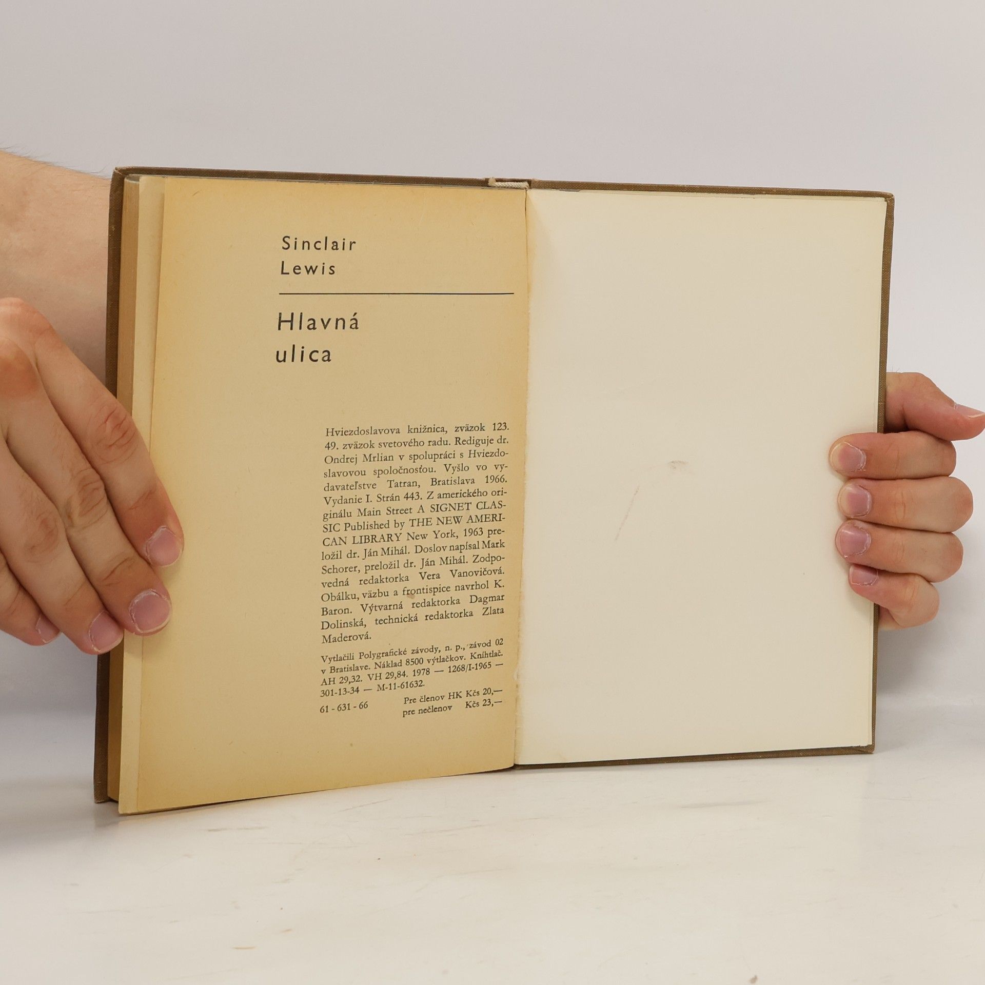 Sinclair Lewis Hlavná ulica