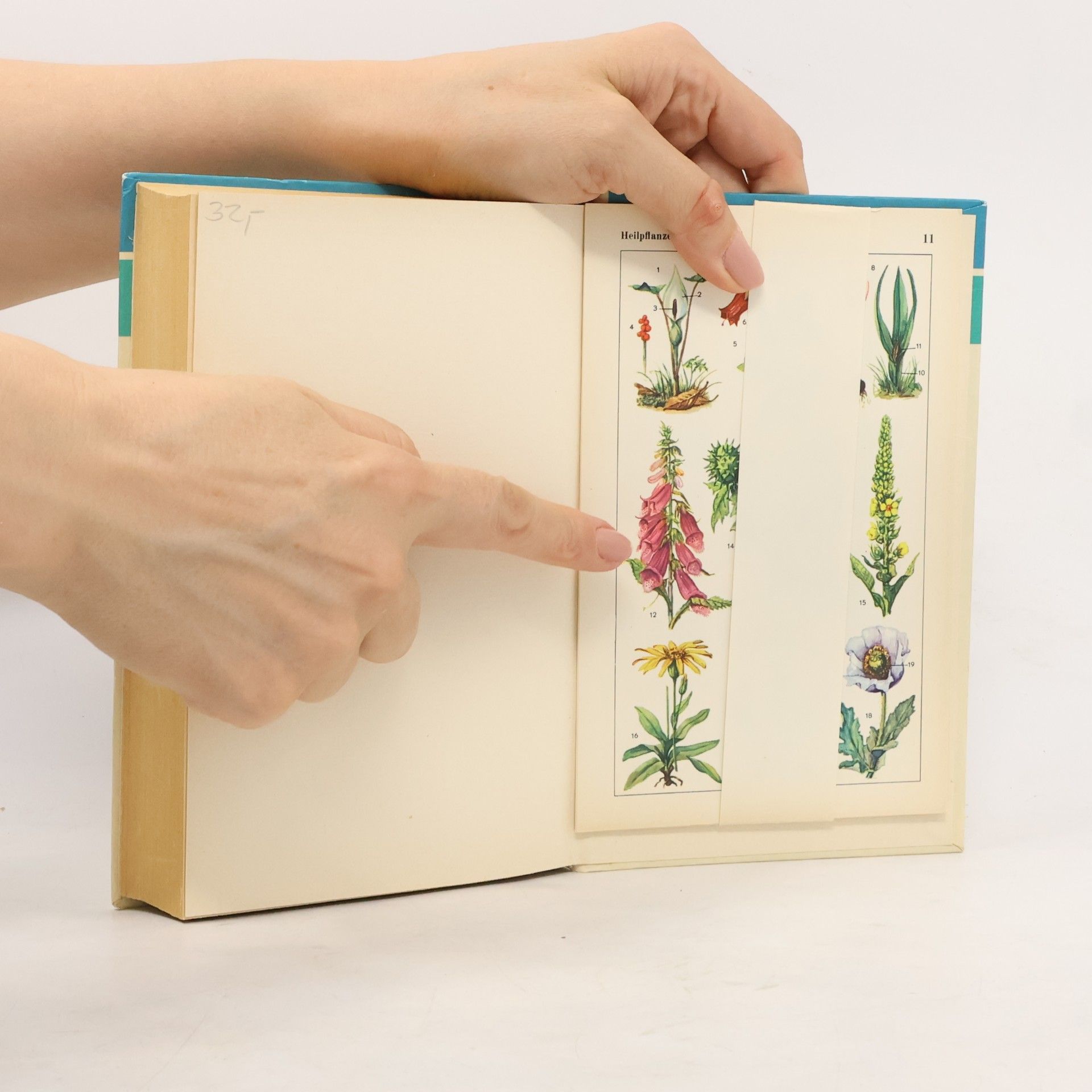 Collectif d'auteurs Bildwörterbuch Deutsch